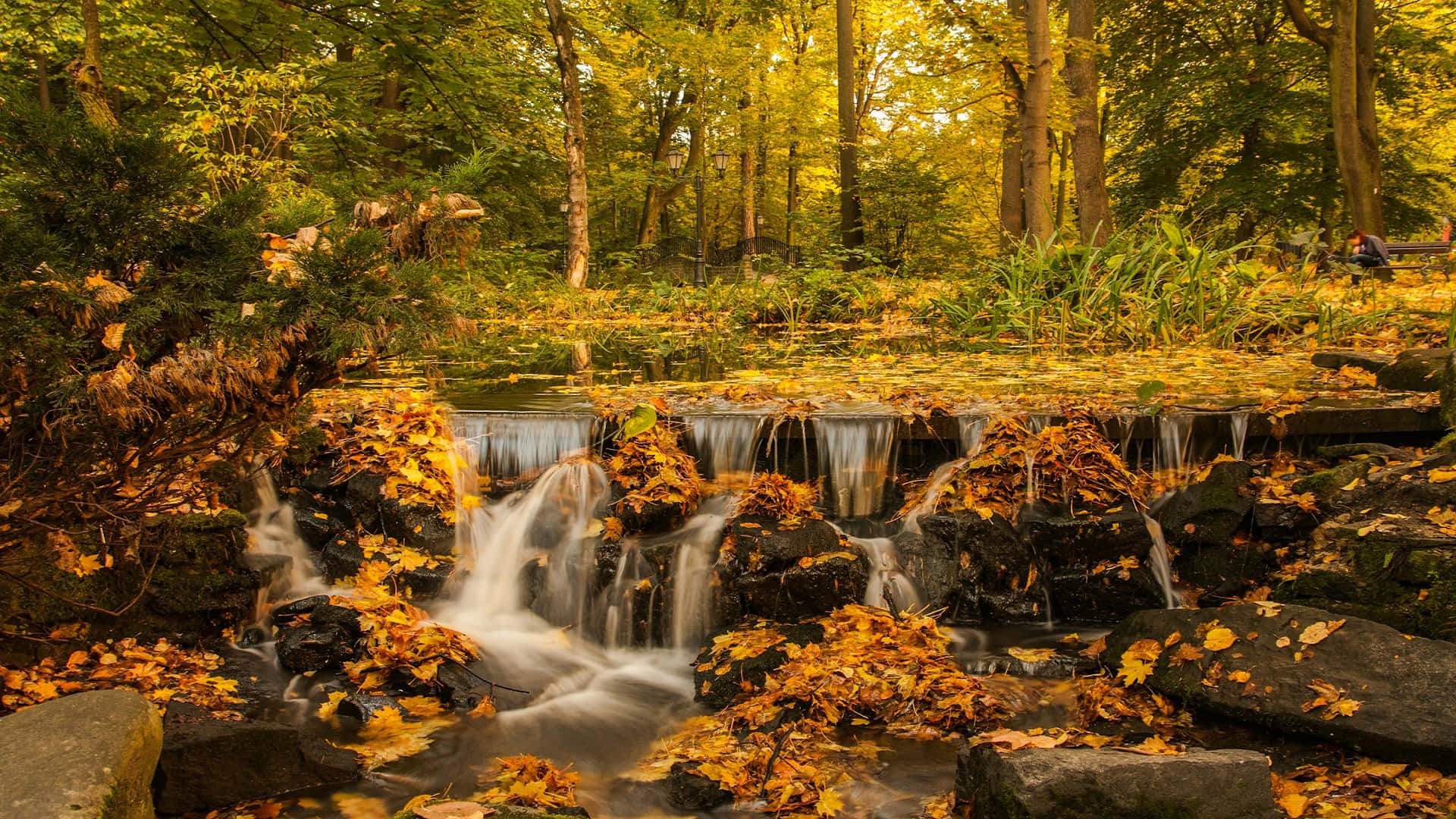 Autumn Waterfall Serenity.jpg Wallpaper