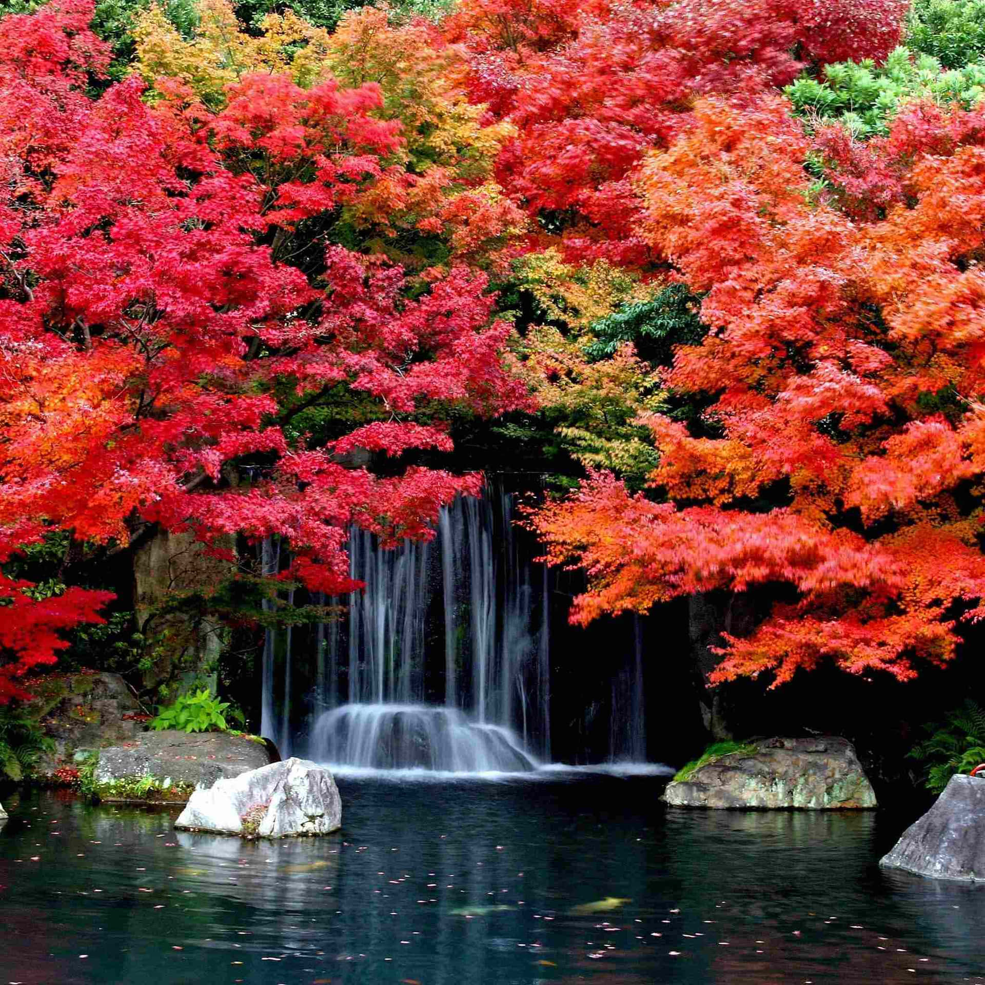 Autumn Waterfall Serenity.jpg Wallpaper