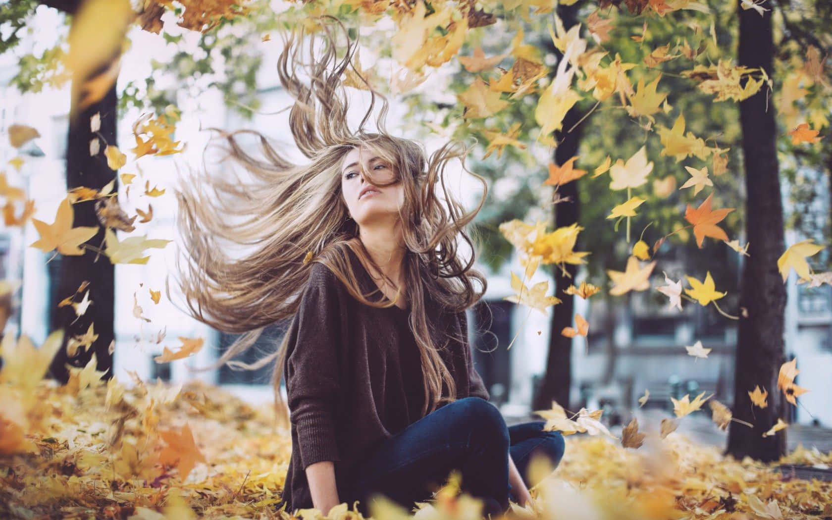 Blowing Autumn Wind in the Forest Wallpaper