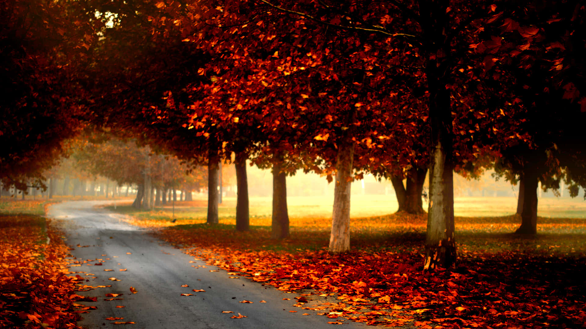 Blowing Autumn Wind Leaves Wallpaper