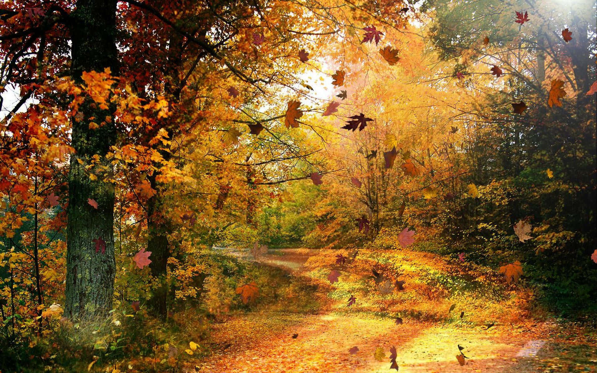 Gentle Autumn Breeze Swirls Through a Picturesque Forest Landscape Wallpaper