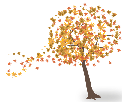 Autumn Wind Tree Illustration PNG
