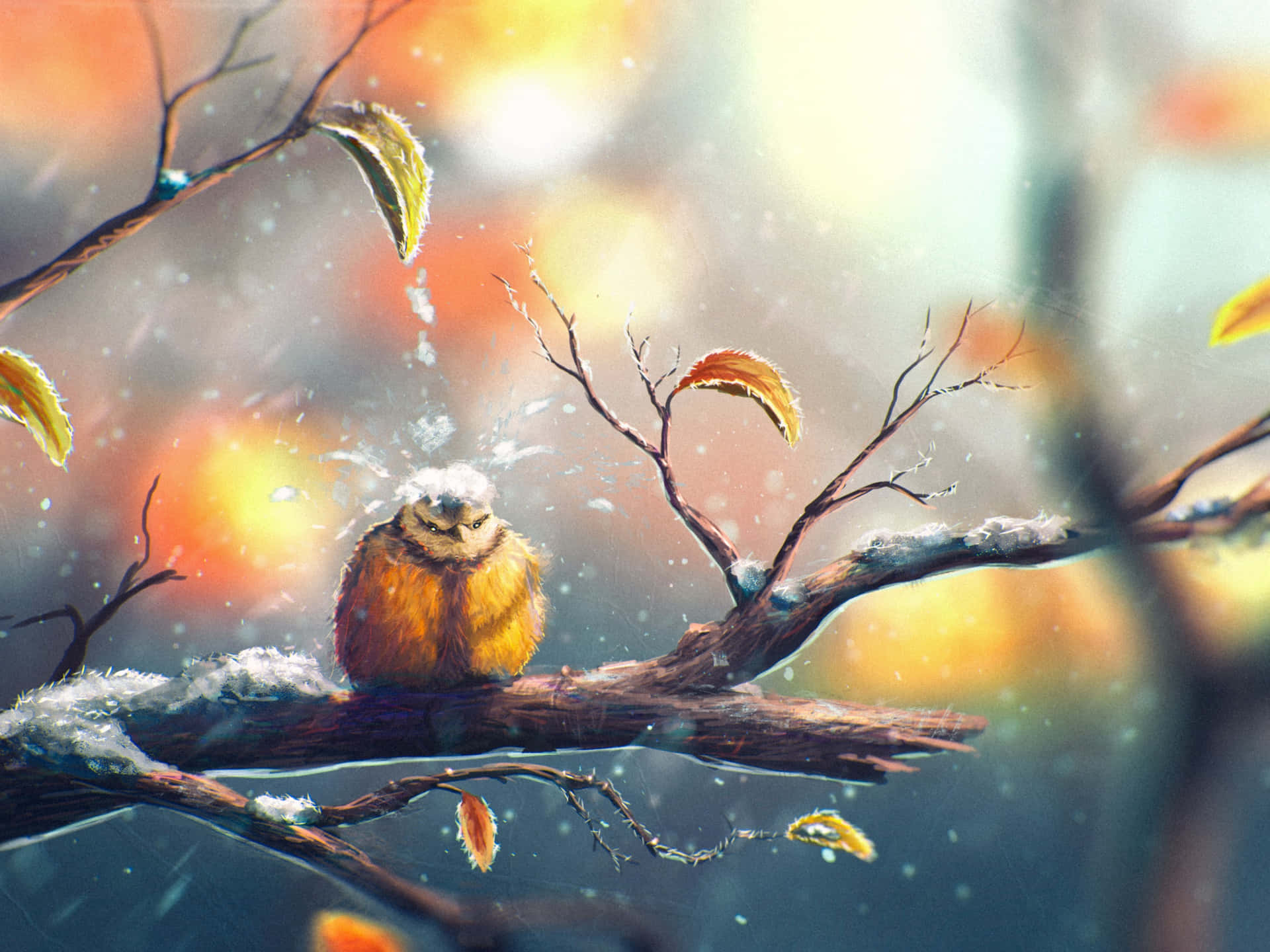 Autumn Winter Transition Owl.jpg Wallpaper