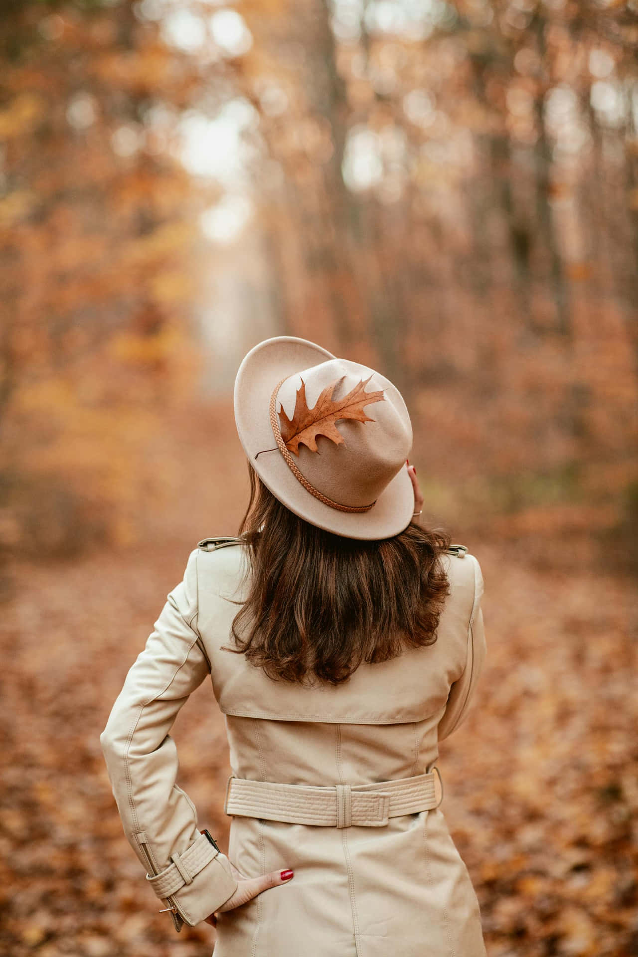 Autumn Woman Hat Forest Leaf Wallpaper