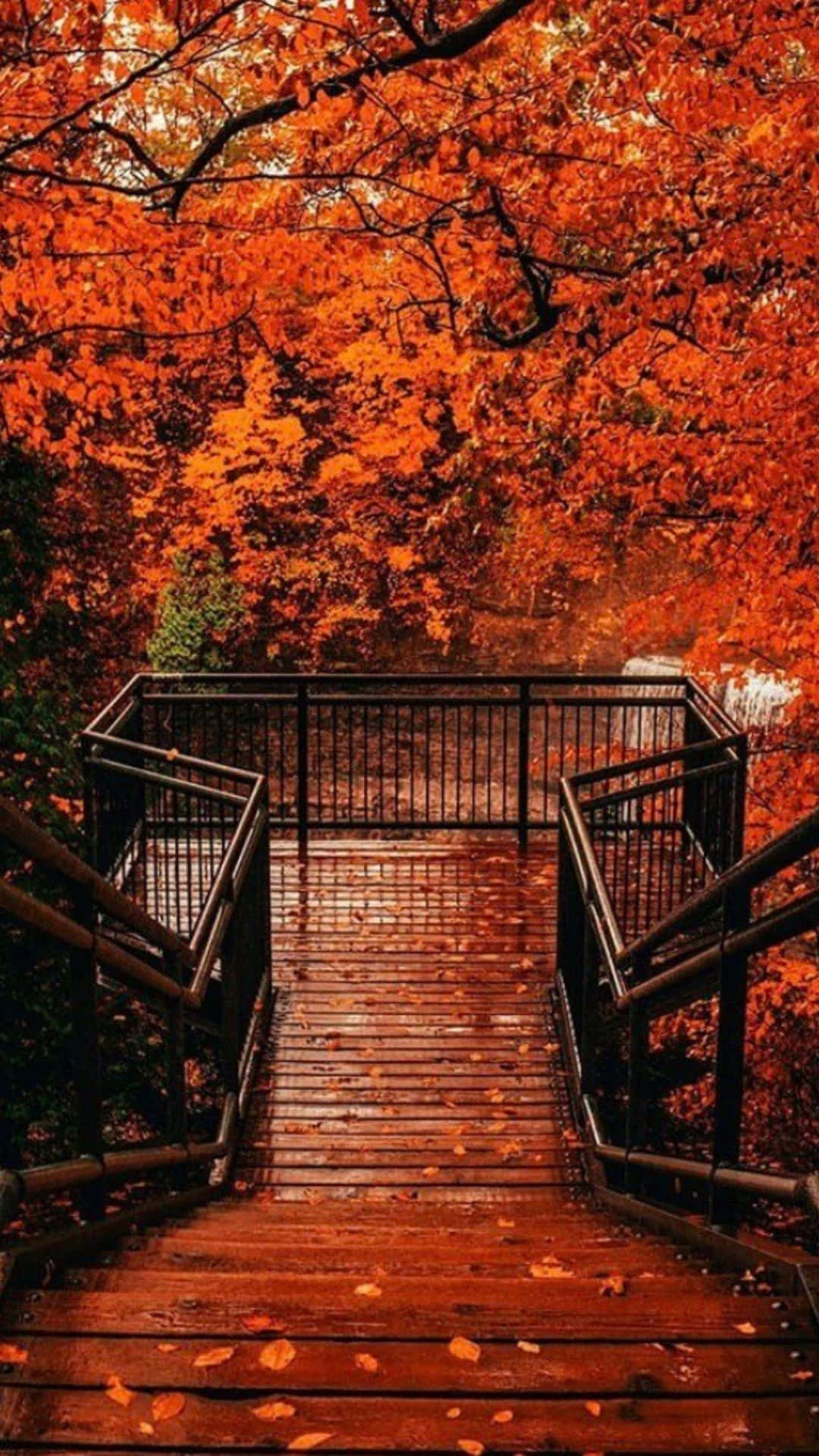 Autumn Wooden Staircase Surrounded By Foliage.jpg Wallpaper