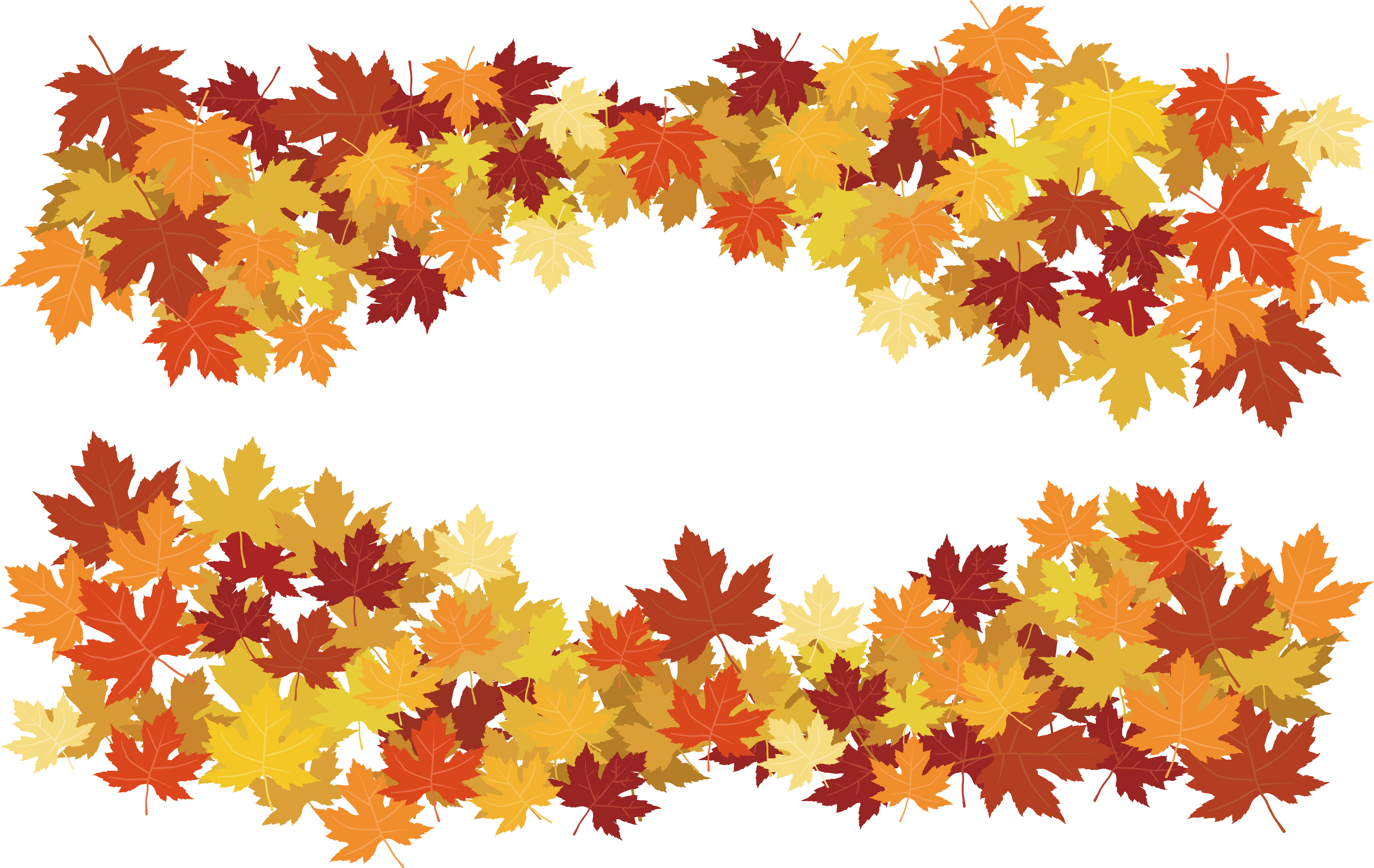 Autumn_ Leaf_ Border_ Design PNG