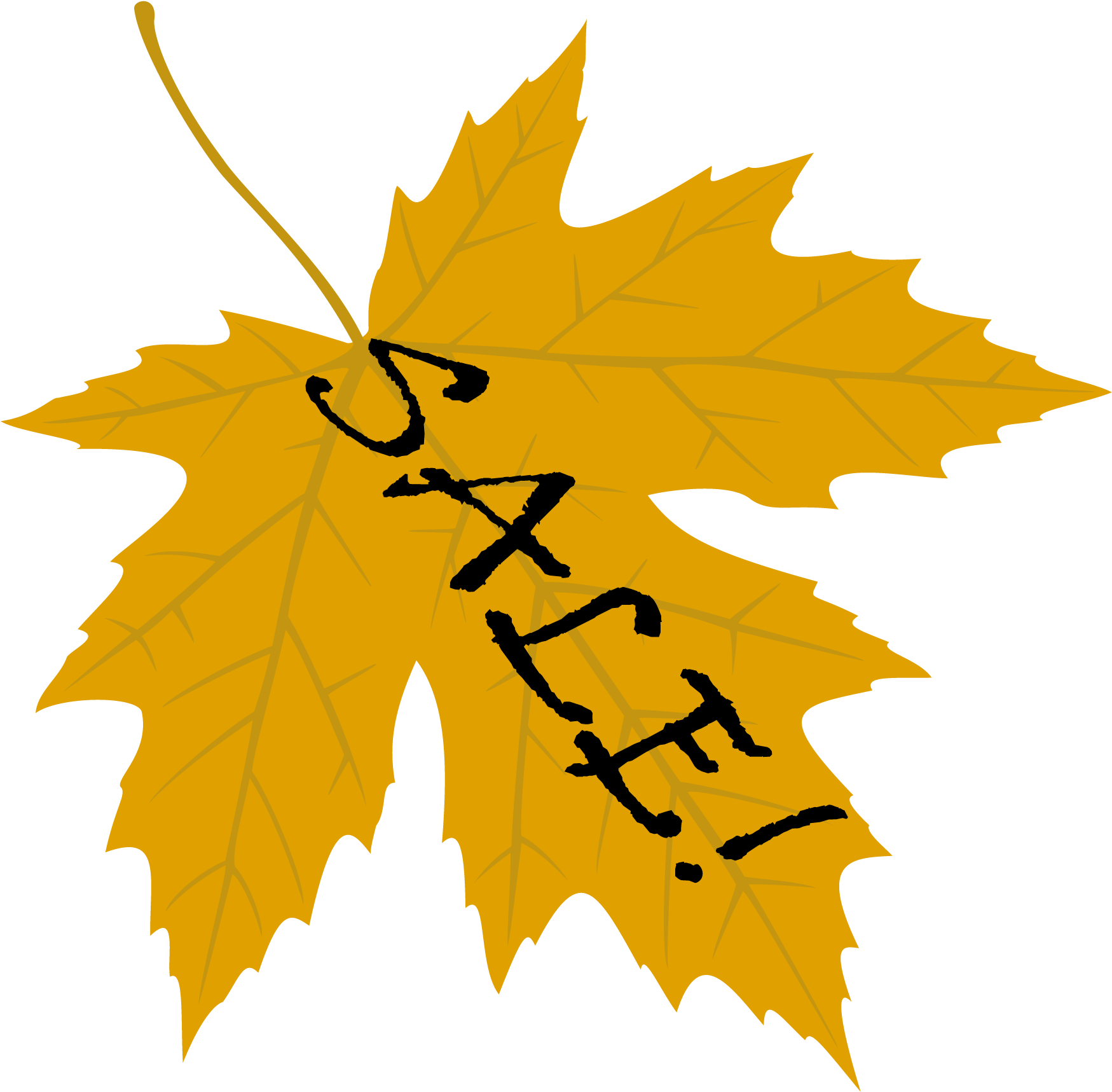 Autumn_ Leaf_with_ Scribble PNG