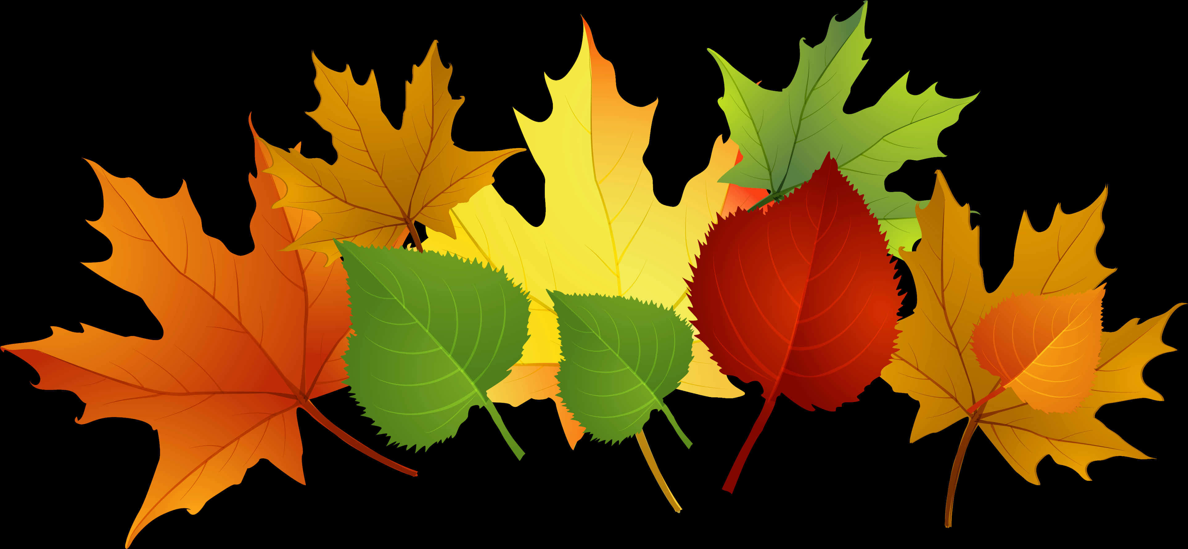Autumn_ Leaves_ Clipart PNG