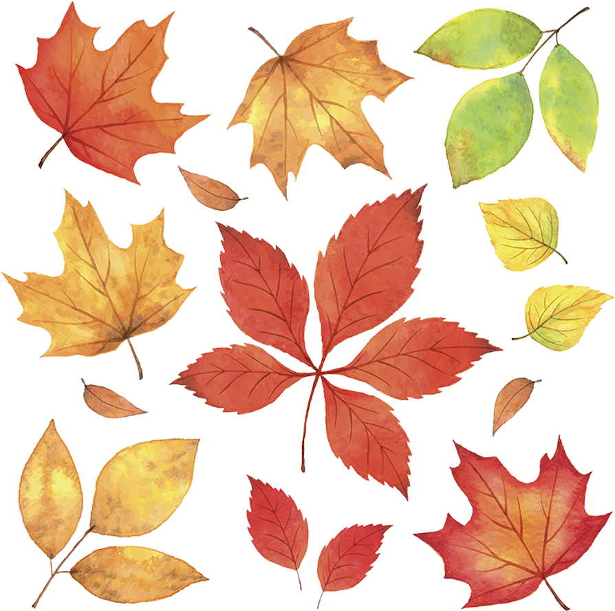 Autumn_ Leaves_ Collection.png PNG