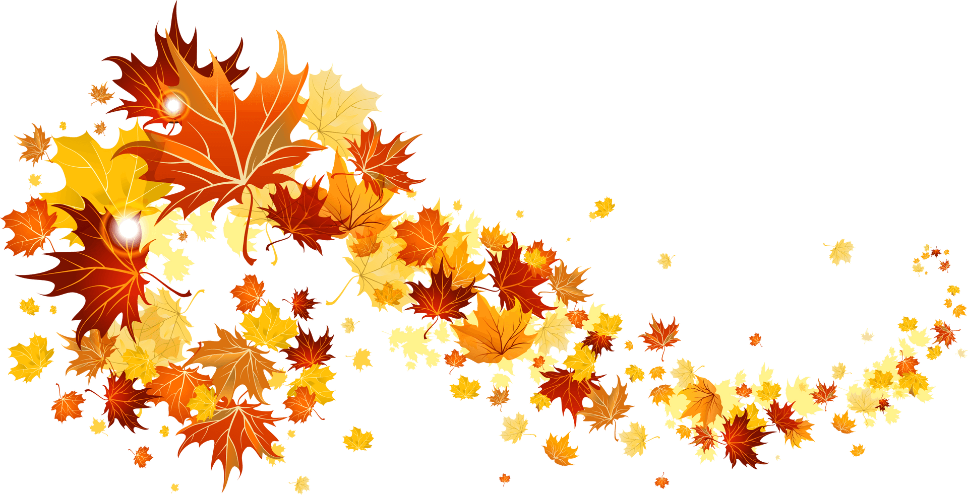 Autumn_ Leaves_ Falling_ Vector PNG