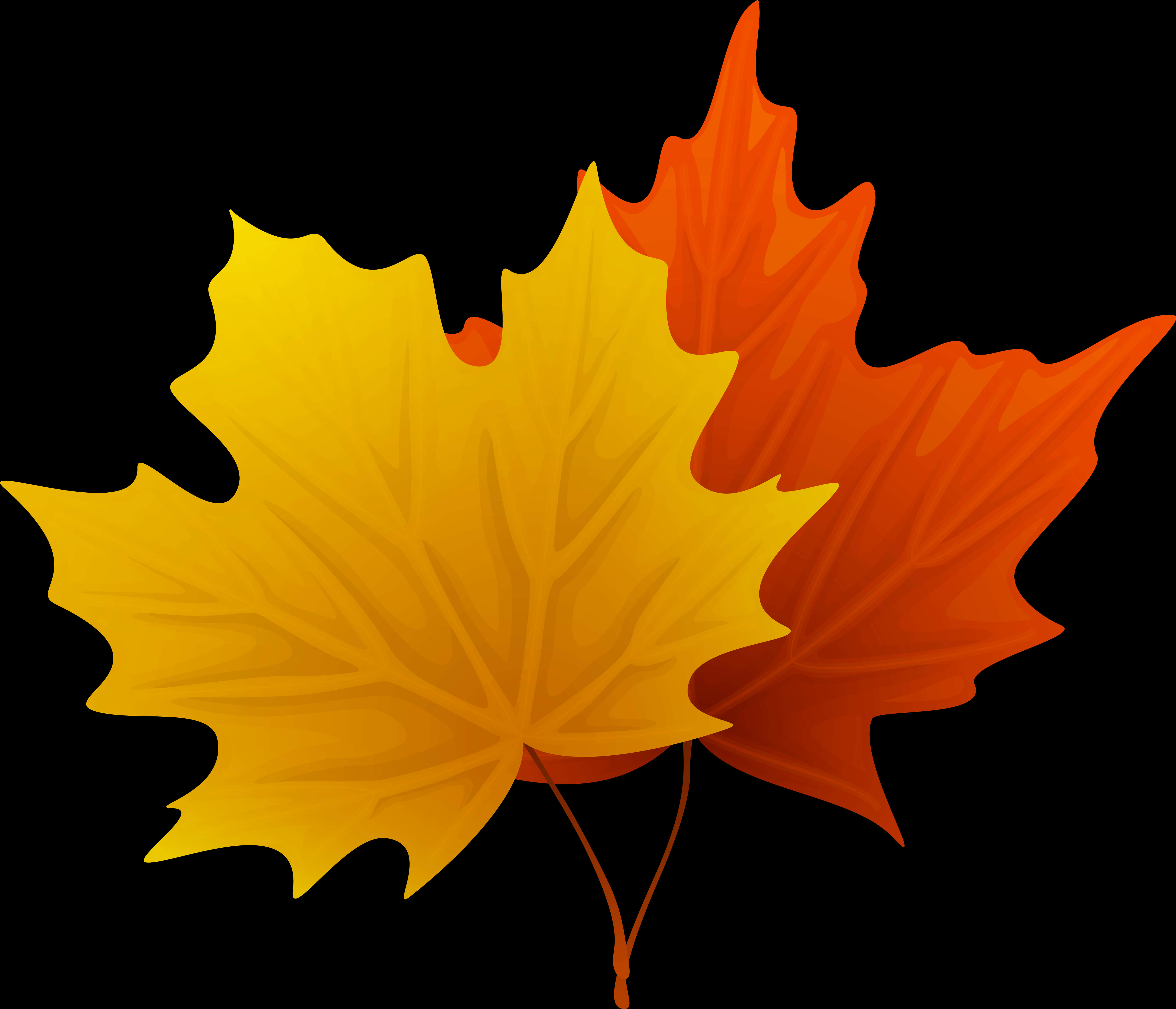 Autumn_ Leaves_ Vector_ Clipart PNG