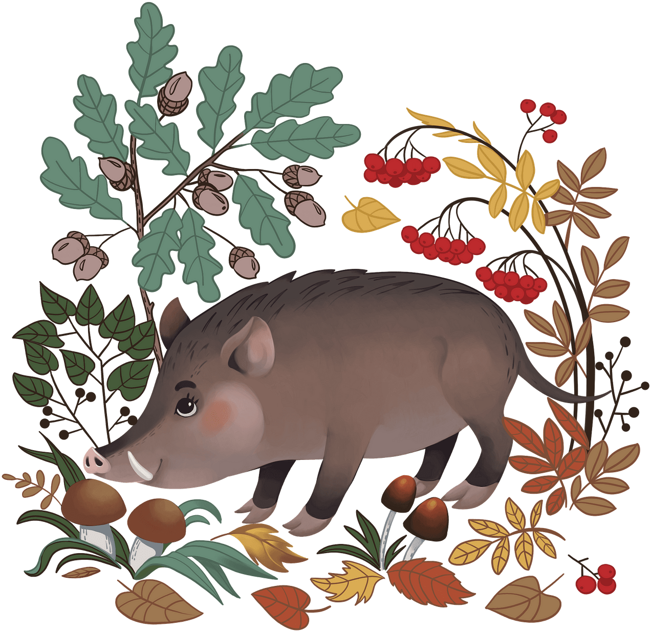 Autumnal Boar Illustration PNG