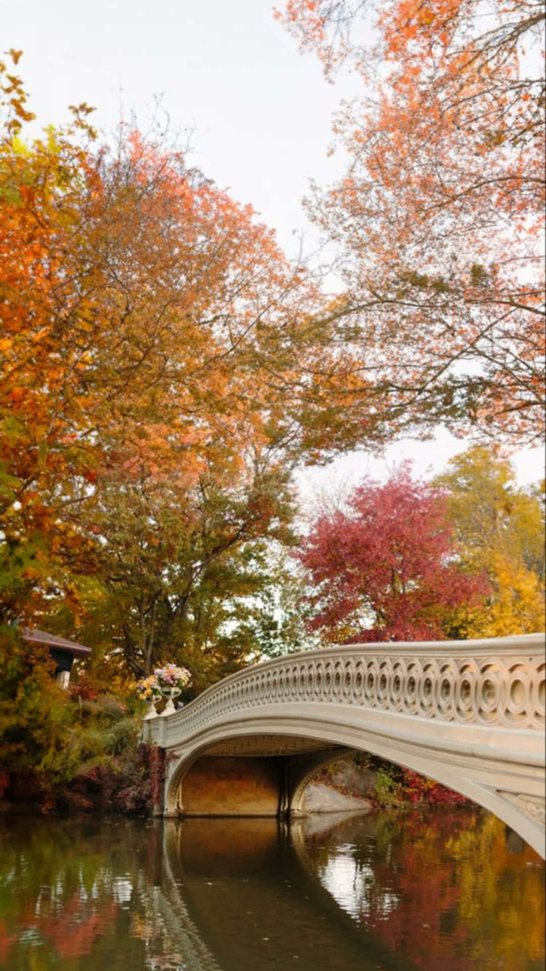 Autumnal Bridge Over Tranquil Water.jpg Wallpaper