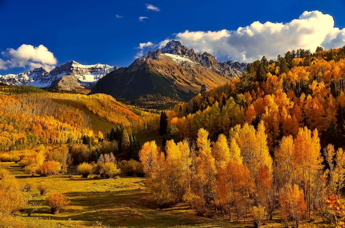 Beautiful Autumnal Equinox Landscape Wallpaper