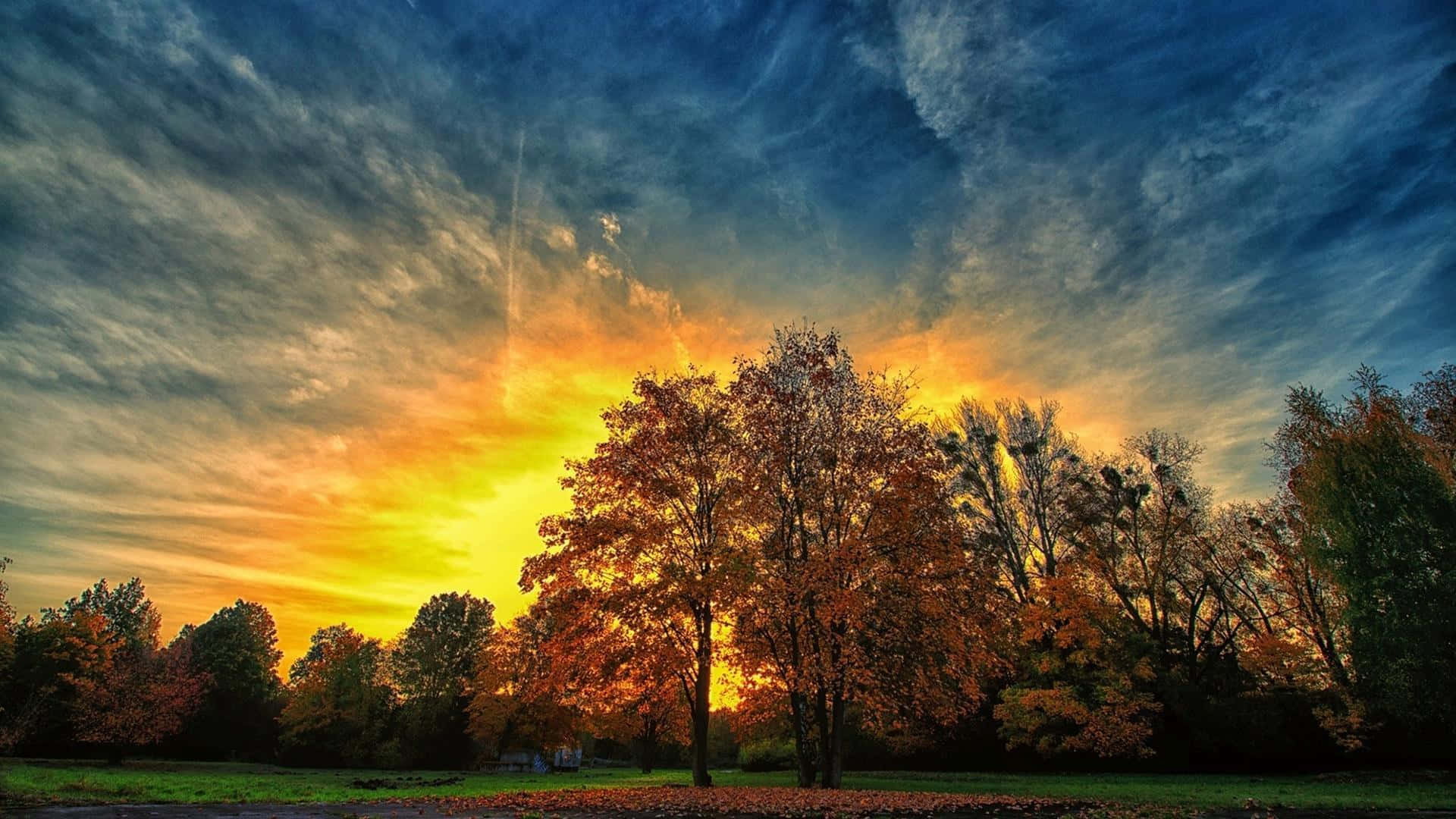 Beautiful Autumnal Equinox Scenery Wallpaper