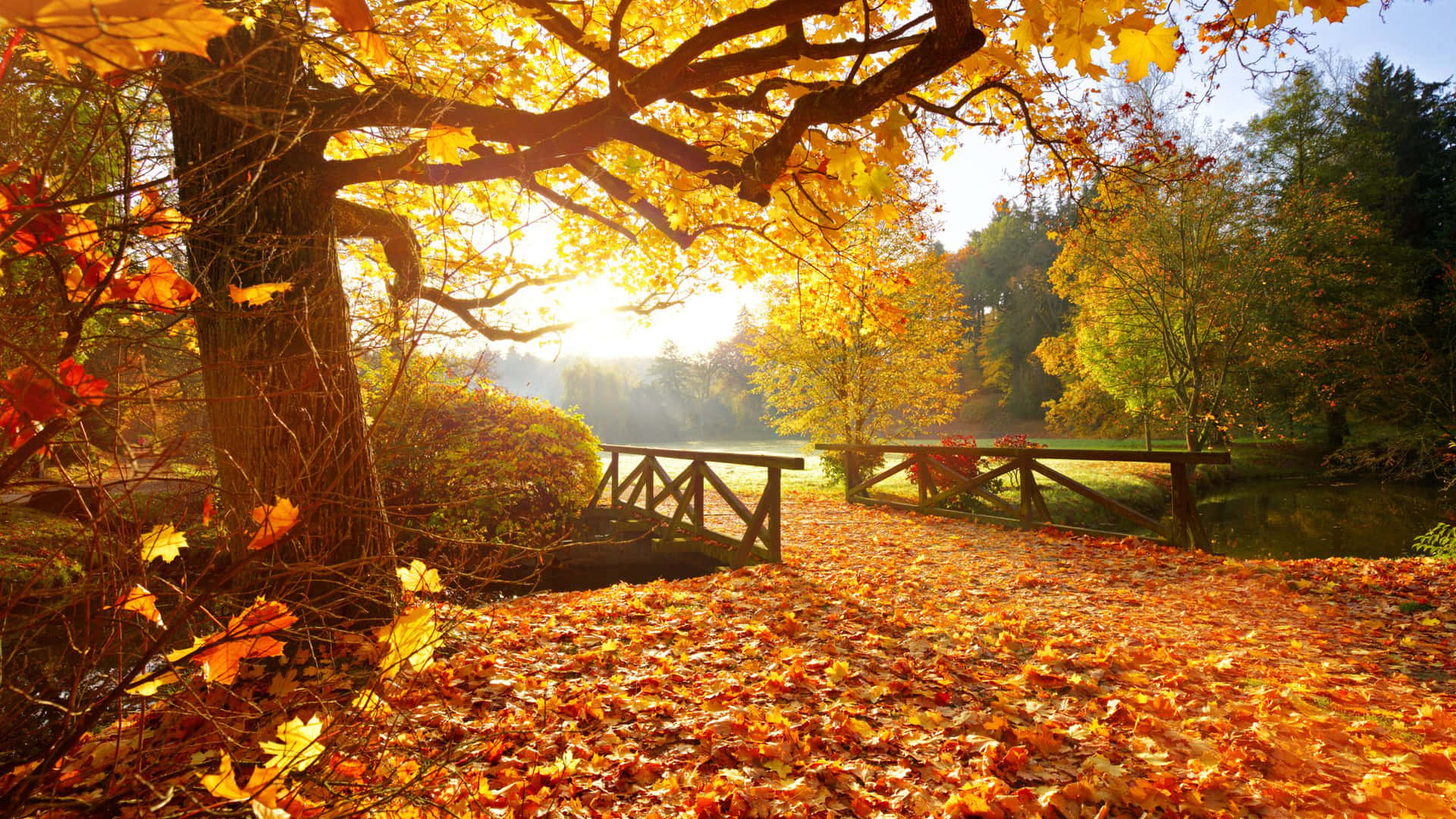 A beautiful Autumnal Equinox landscape scene Wallpaper