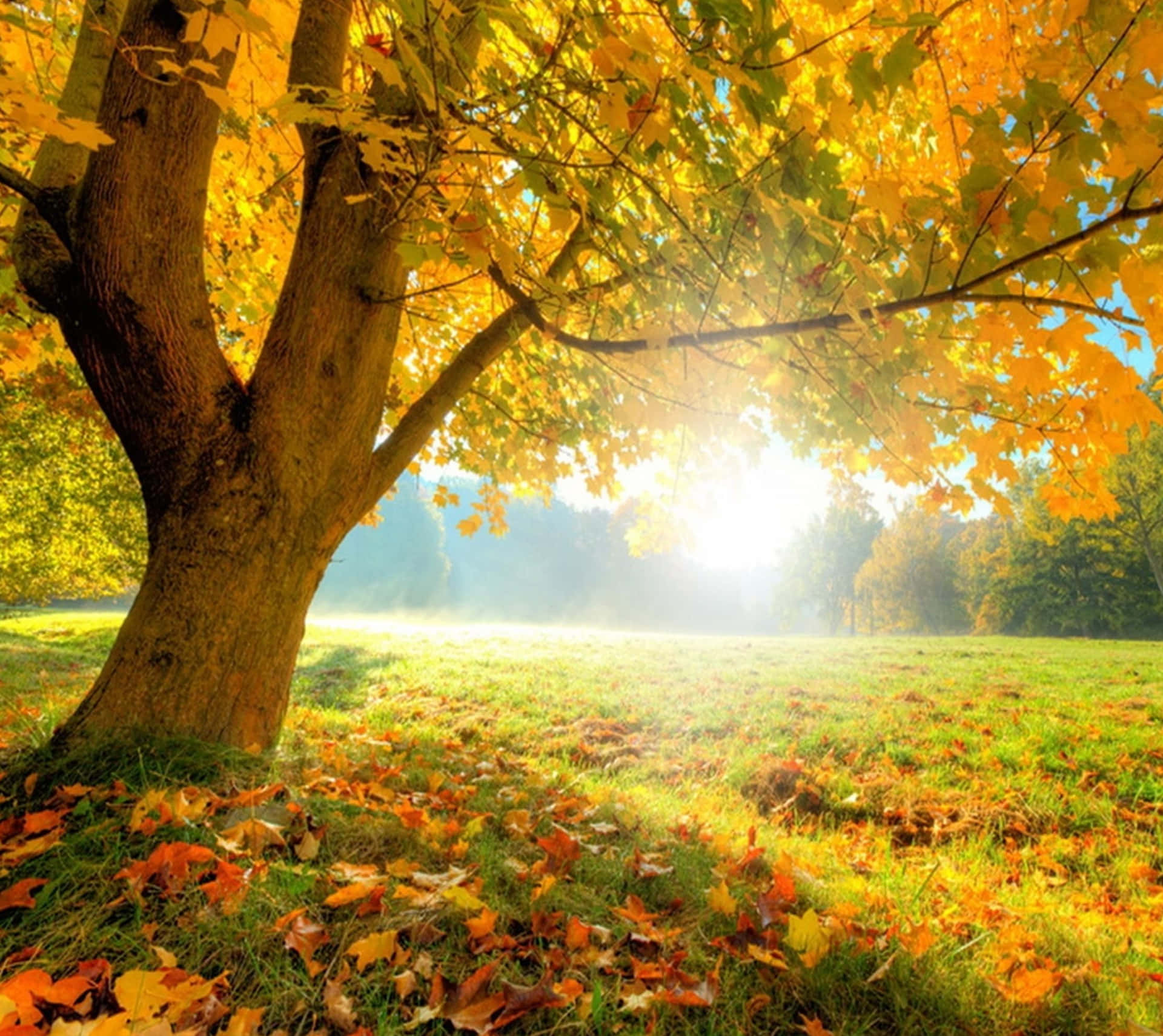 Stunning Autumnal Equinox Scenery Wallpaper