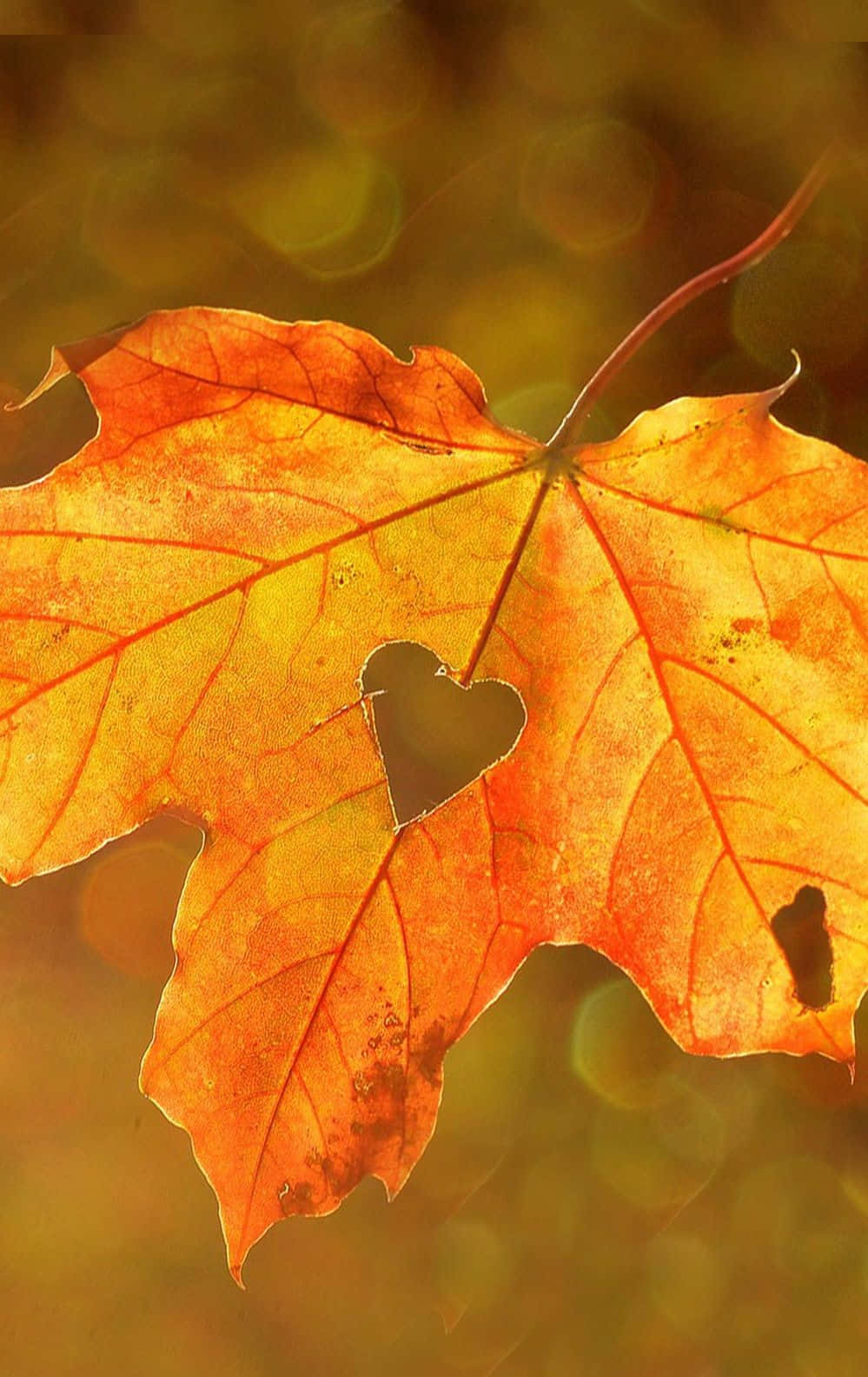 A colorful Autumnal Equinox scenic landscape Wallpaper