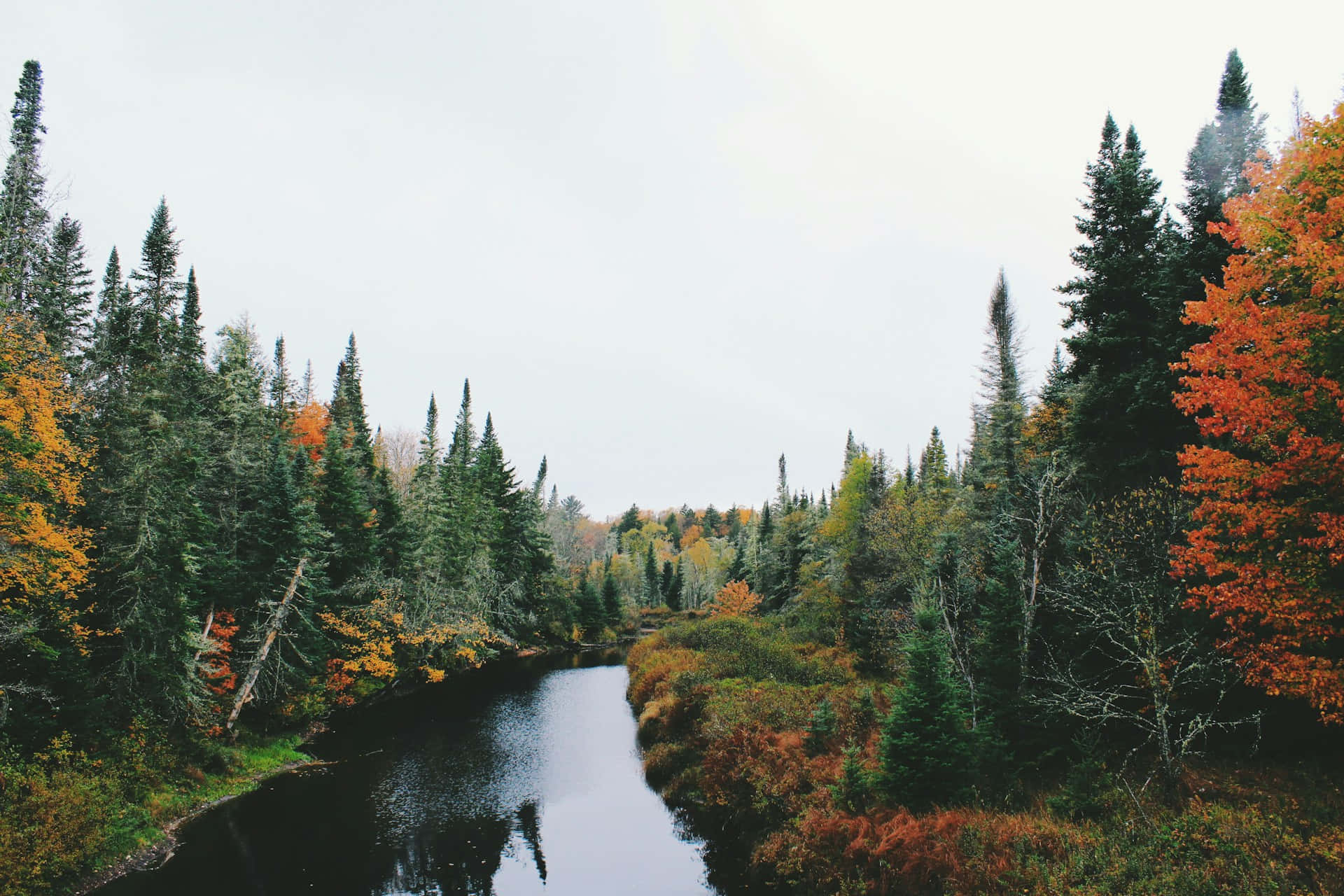 Autumnal Forest River Desktop Wallpaper Wallpaper