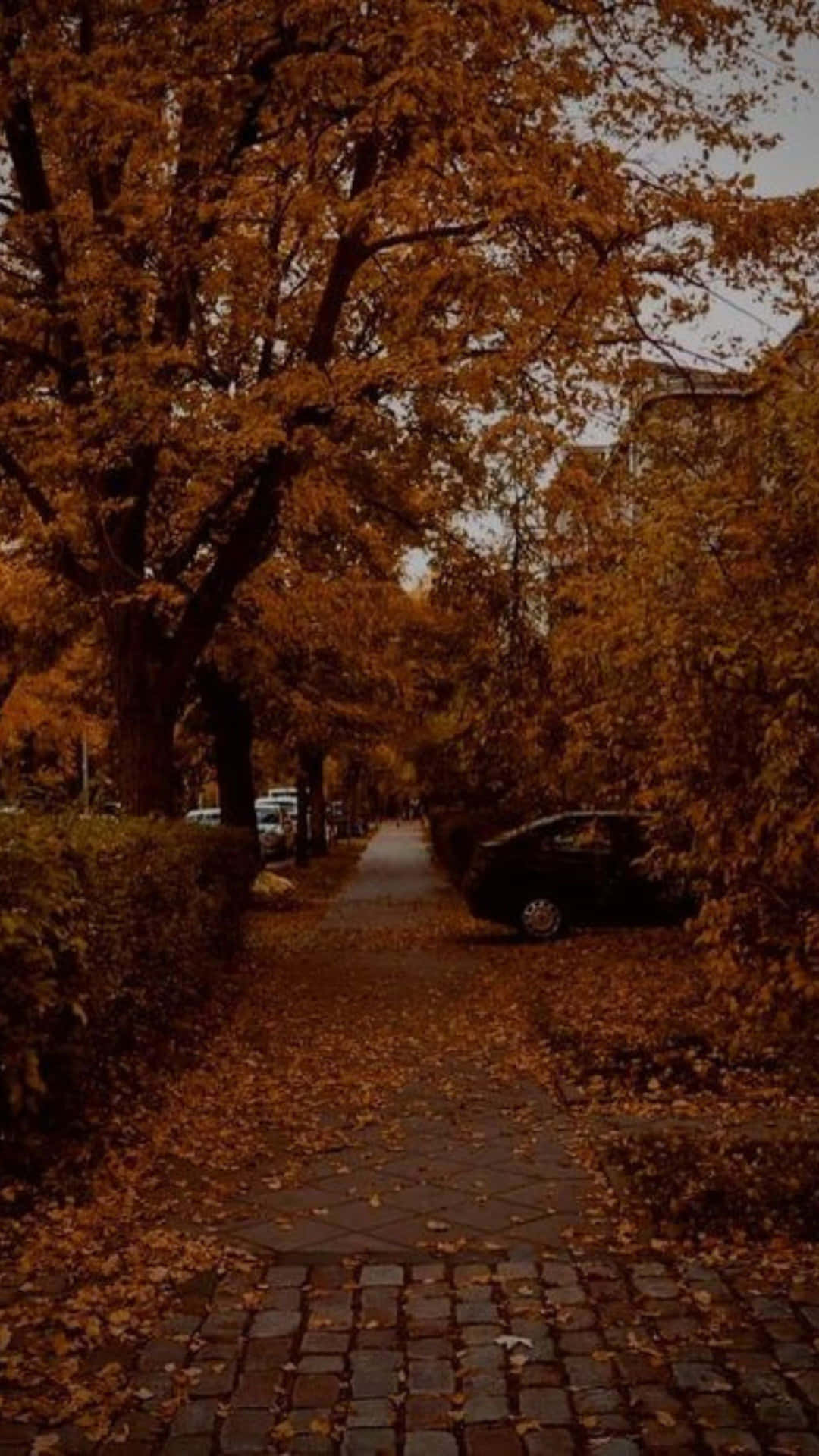 Autumnal Grunge Pathway.jpg Wallpaper