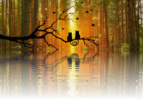 Autumnal Love Reflection PNG