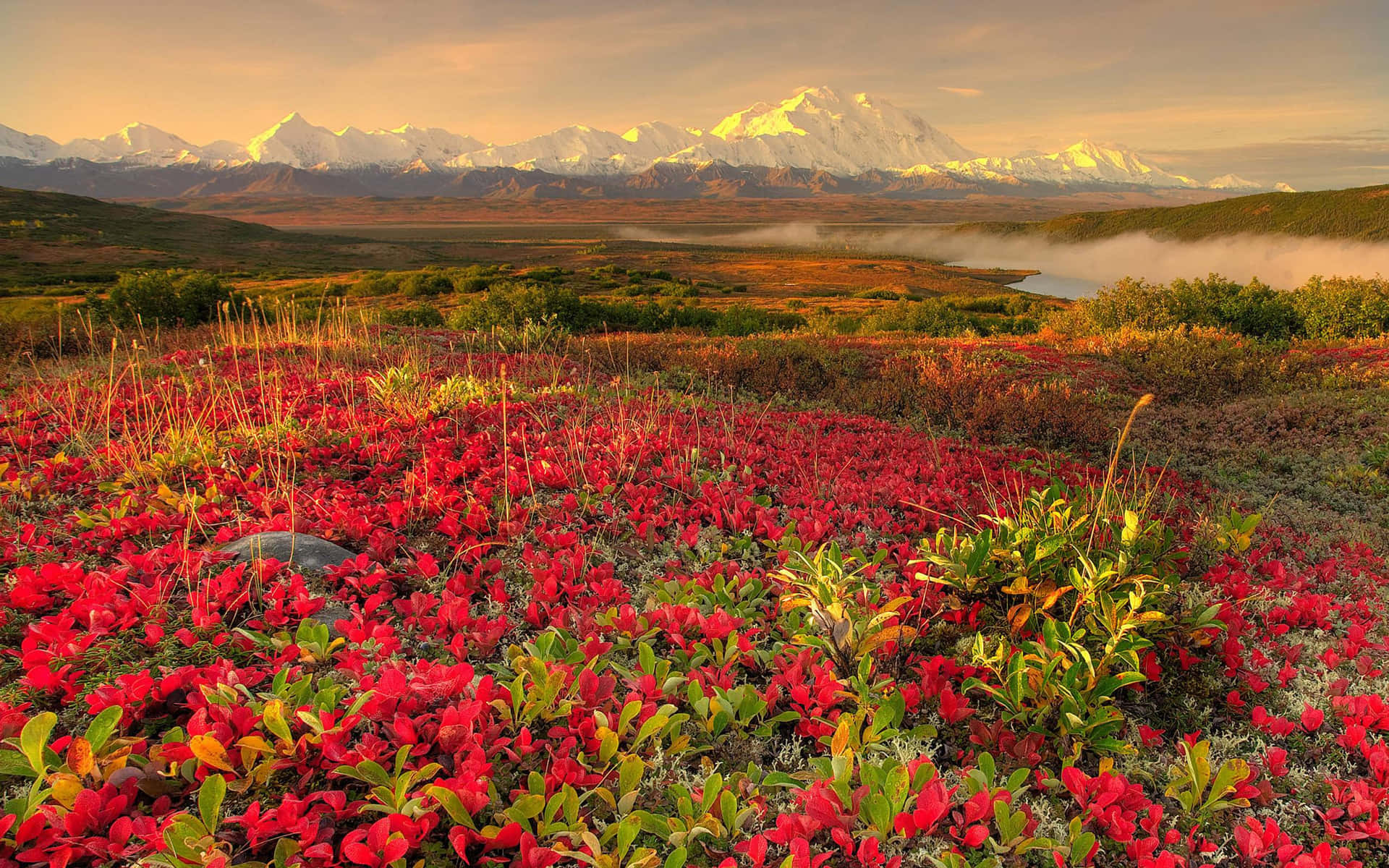 Autumnal_ Mountain_ View_with_ Red_ Flowers.jpg Wallpaper
