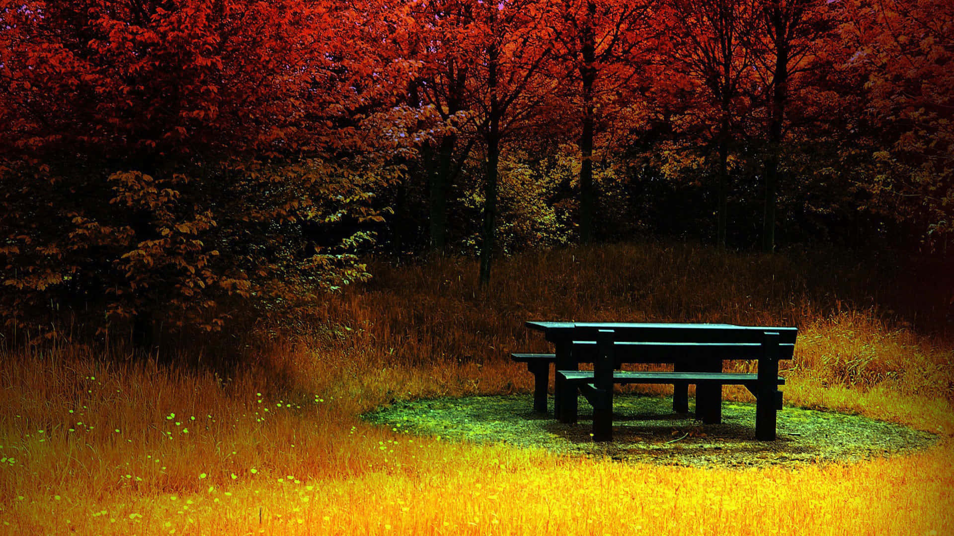 Autumnal Park Bench Scene Wallpaper