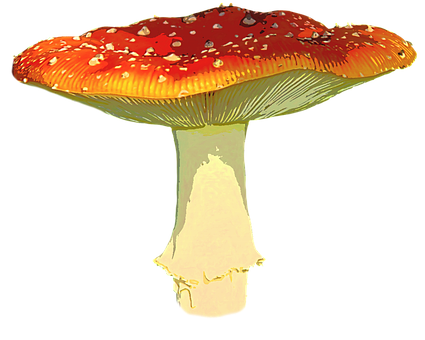 Autumnal Red Mushroom PNG