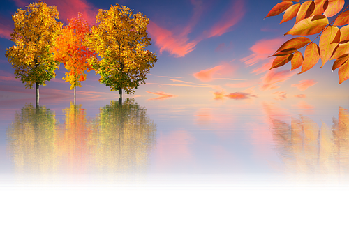 Autumnal Reflections Sunset PNG
