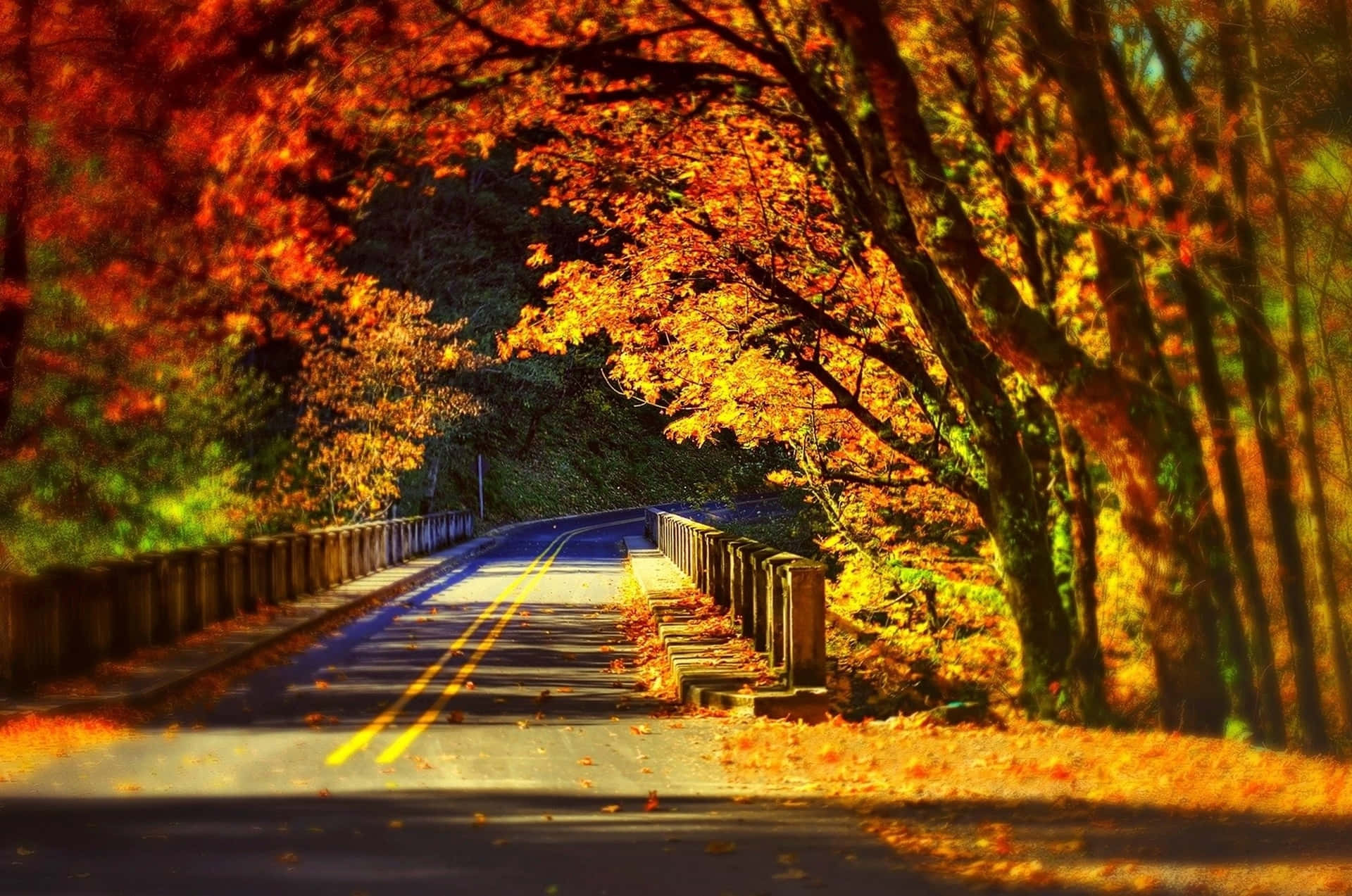 Autumnal Road Glow.jpg Wallpaper