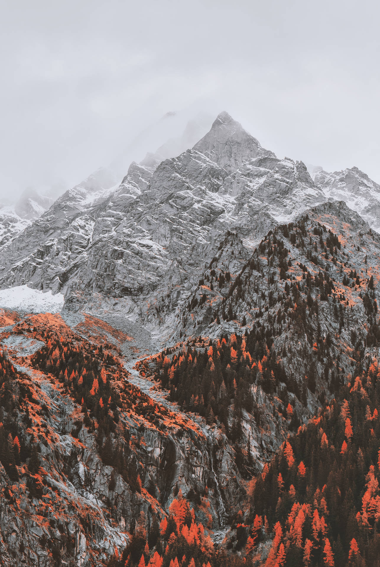 Autumnal_ Mountain_ Peak SVG