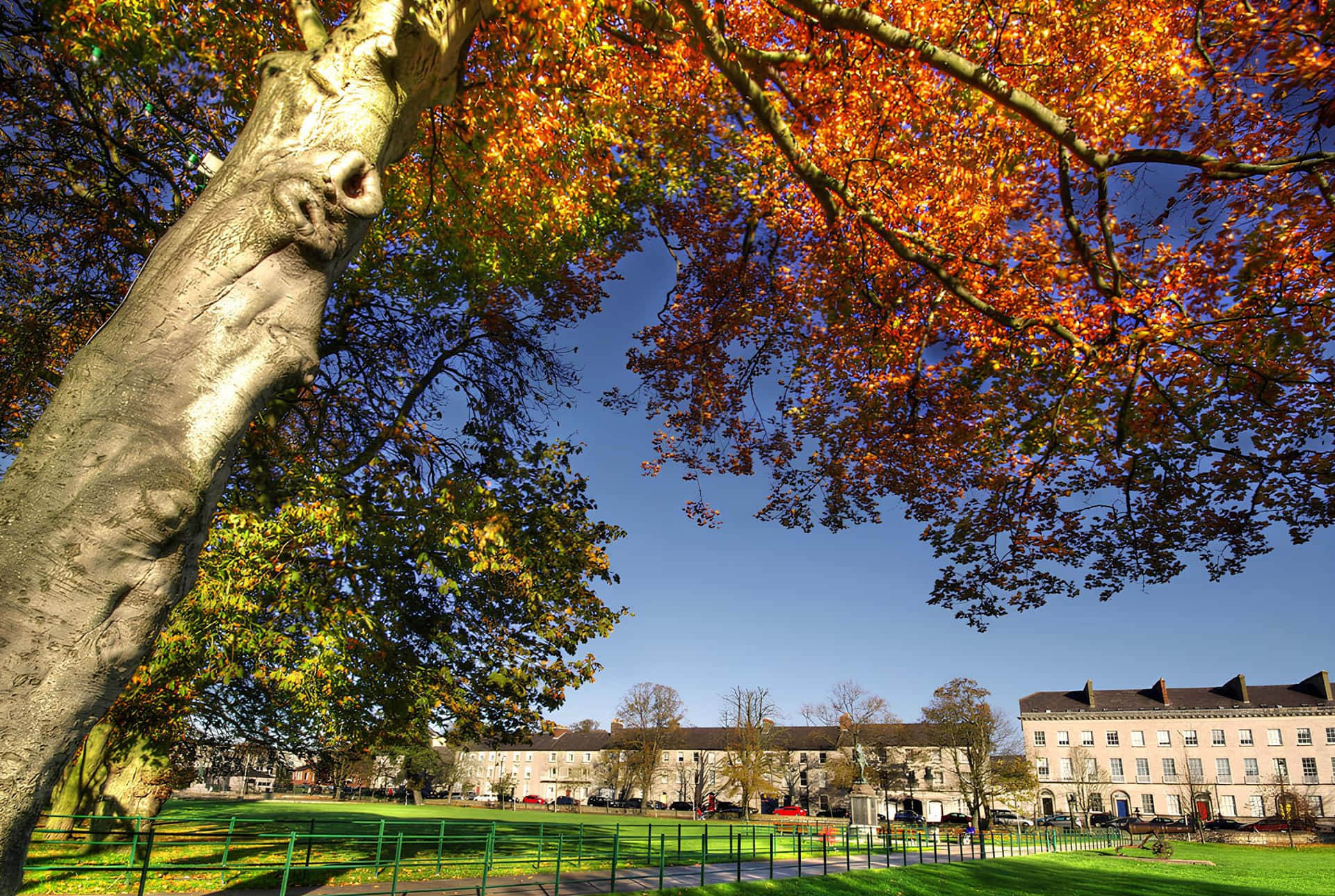 Autumnin Armagh Park Wallpaper
