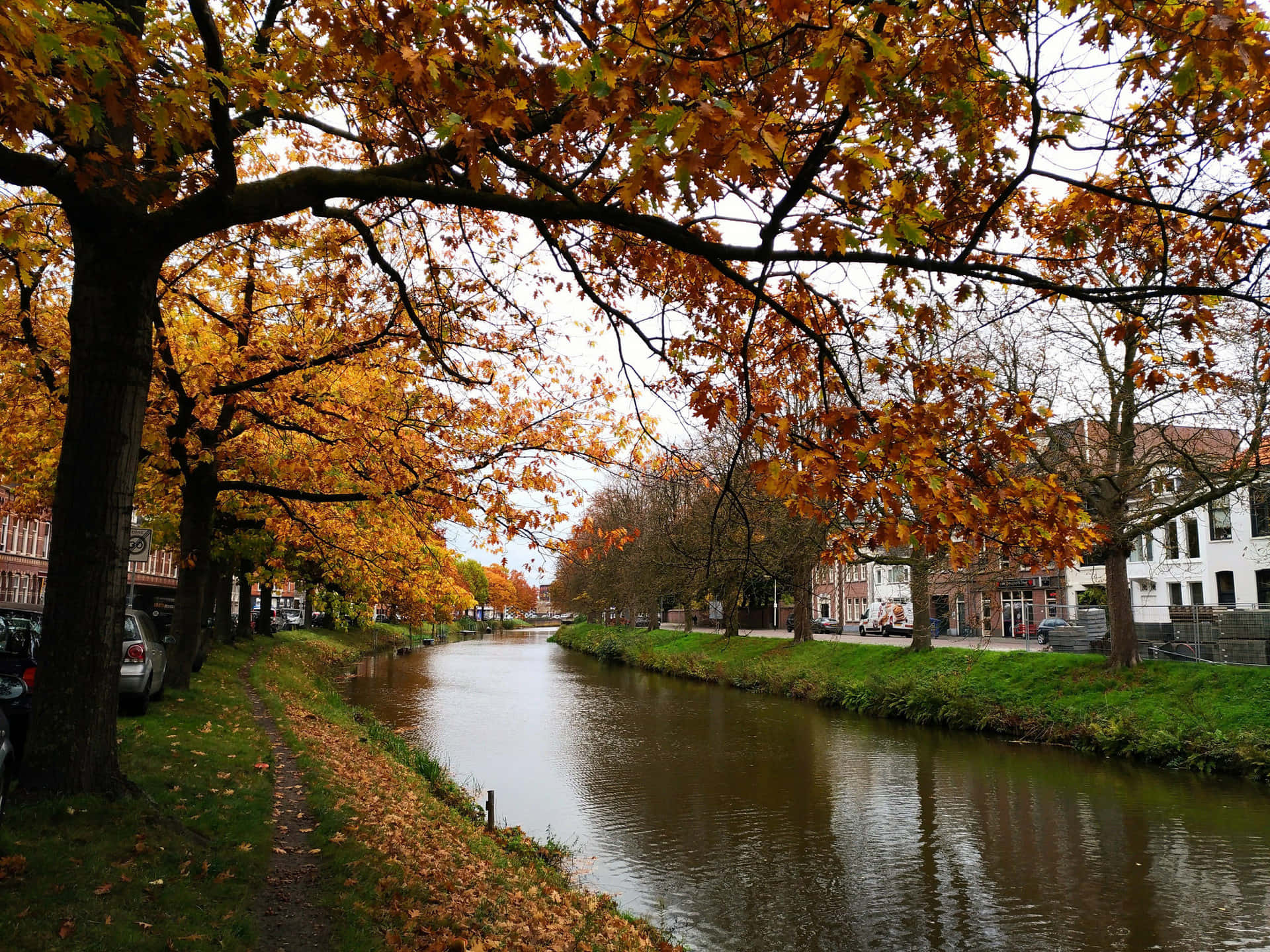 Download Autumnin Breda Canal Scene Wallpaper | Wallpapers.com