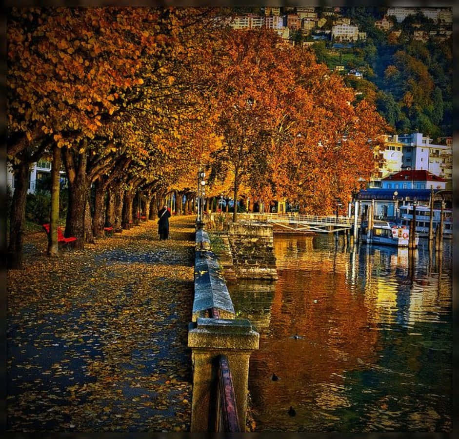 Autumnin Locarno Lakeside Promenade Wallpaper