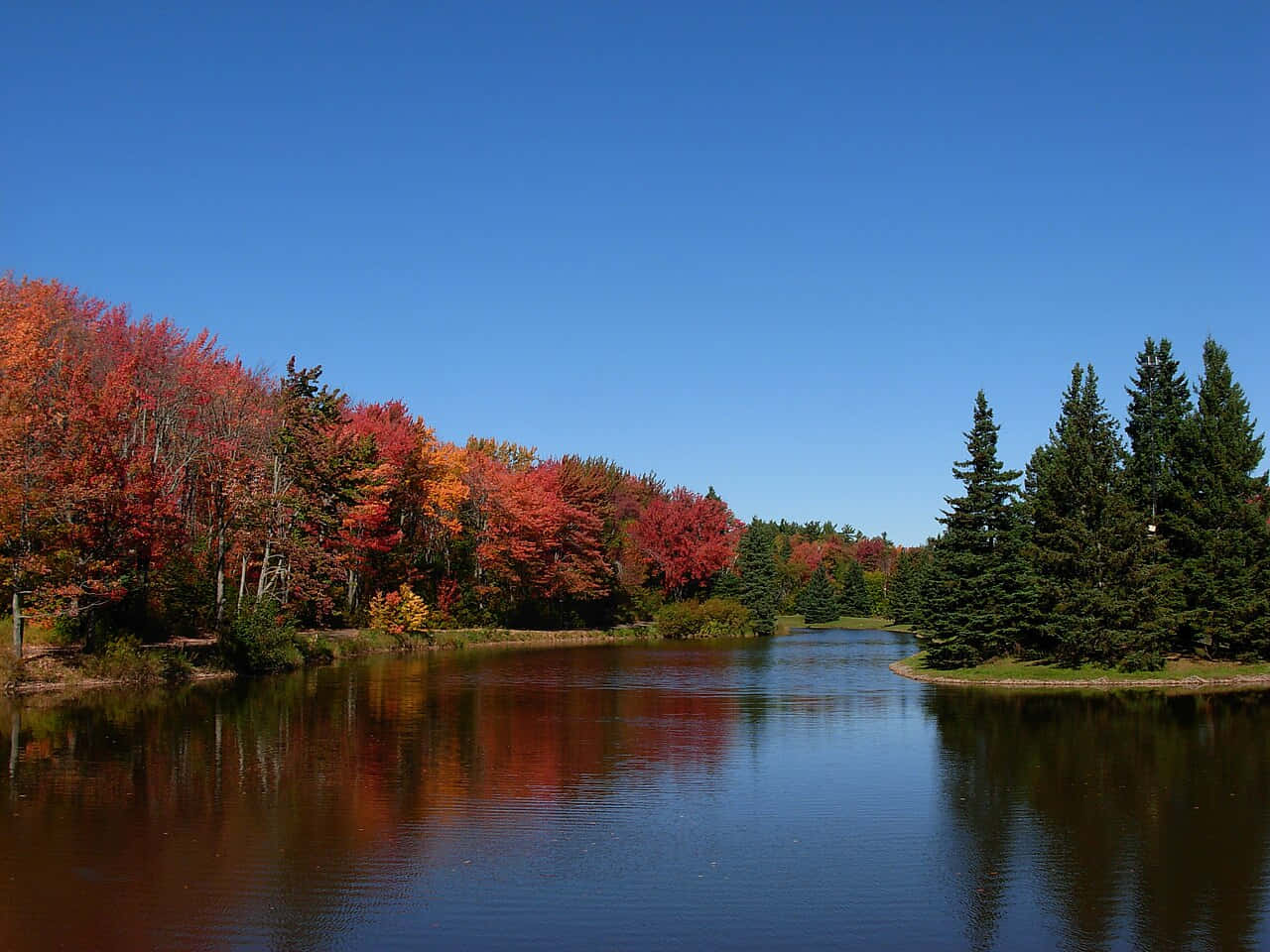 Autumnin Moncton Park Scenery Wallpaper