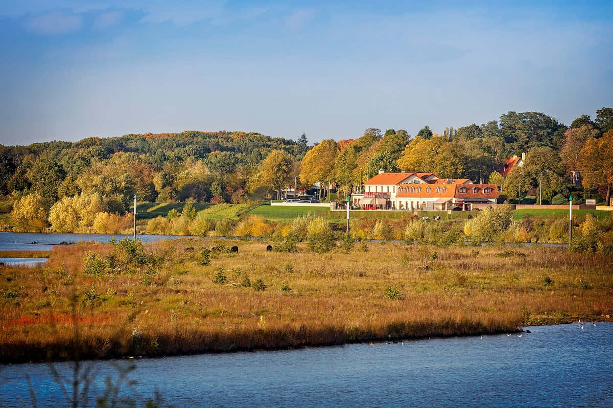 Autumnin Venlo Riverside View Wallpaper