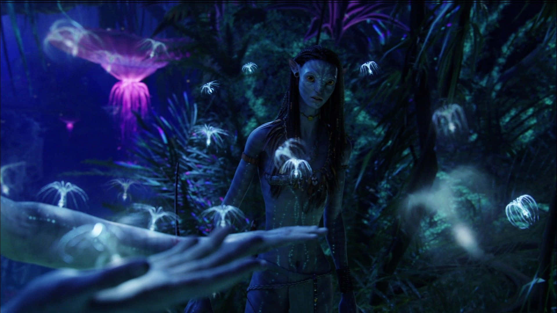 Utforskaunderverken I Världen Av Pandora I Den Ikoniska Filmen Avatar