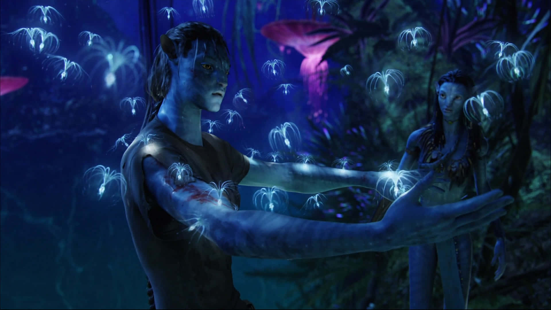 Esploral'ecosistema Unico Di Pandora In Avatar