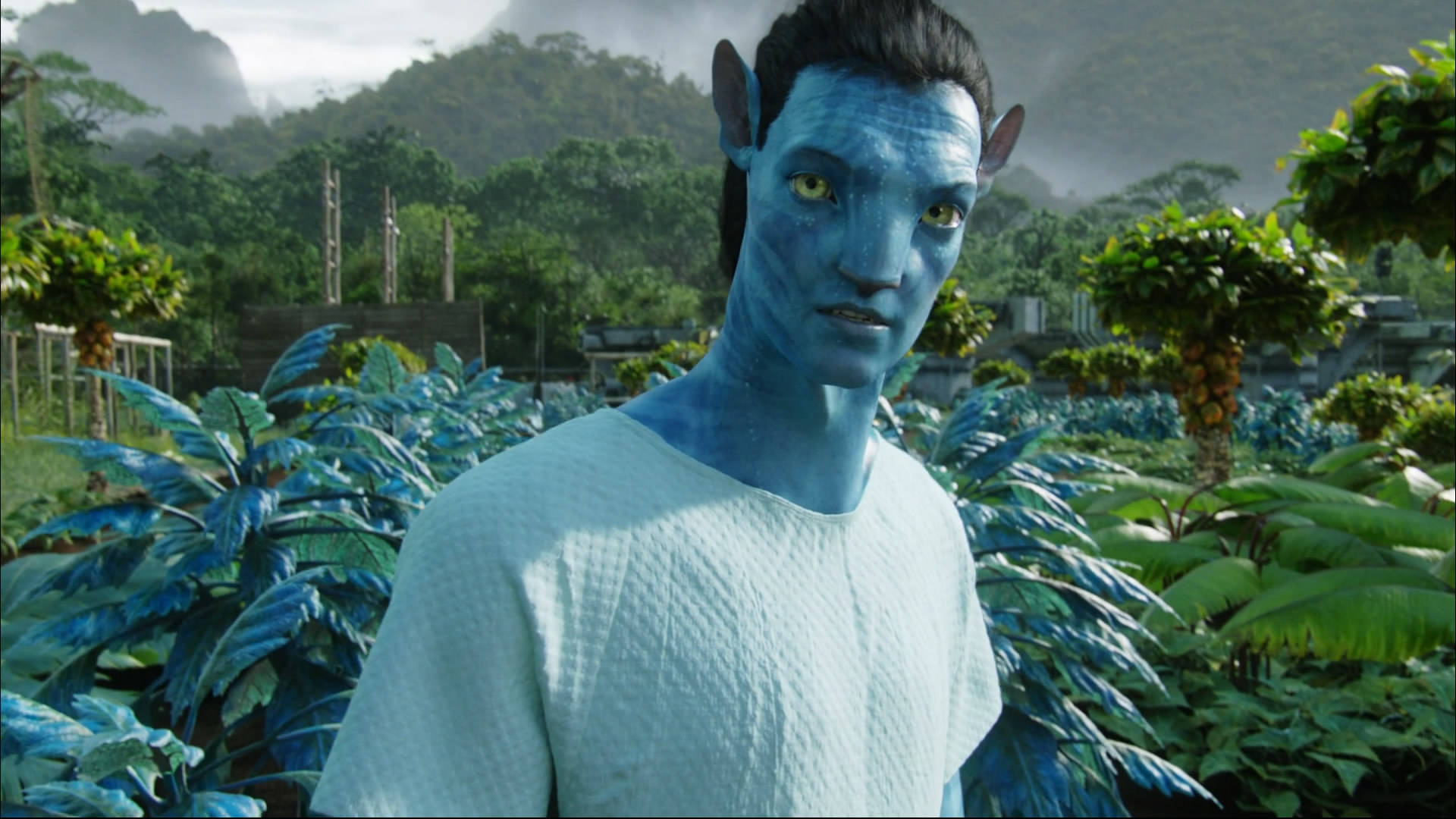 Avatar Jake Training Day Background