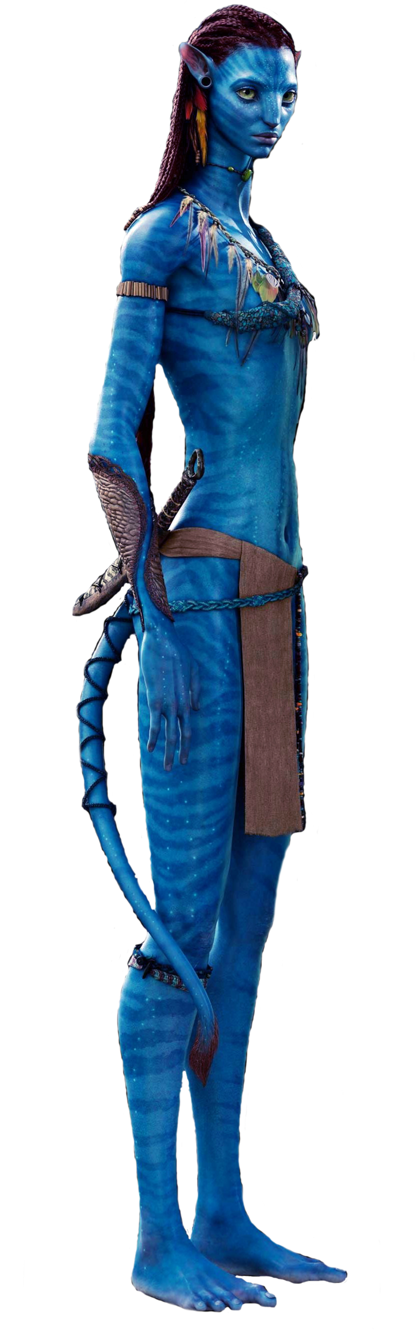 Avatar Na'vi Character Standing PNG