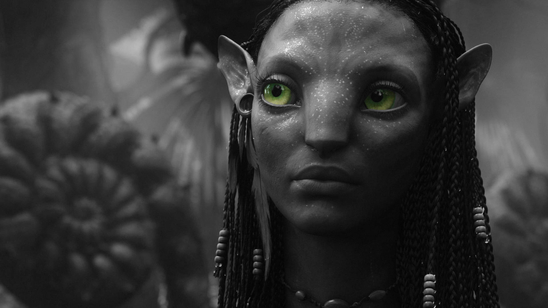 Avatar Neytiri Black And White Hd Background