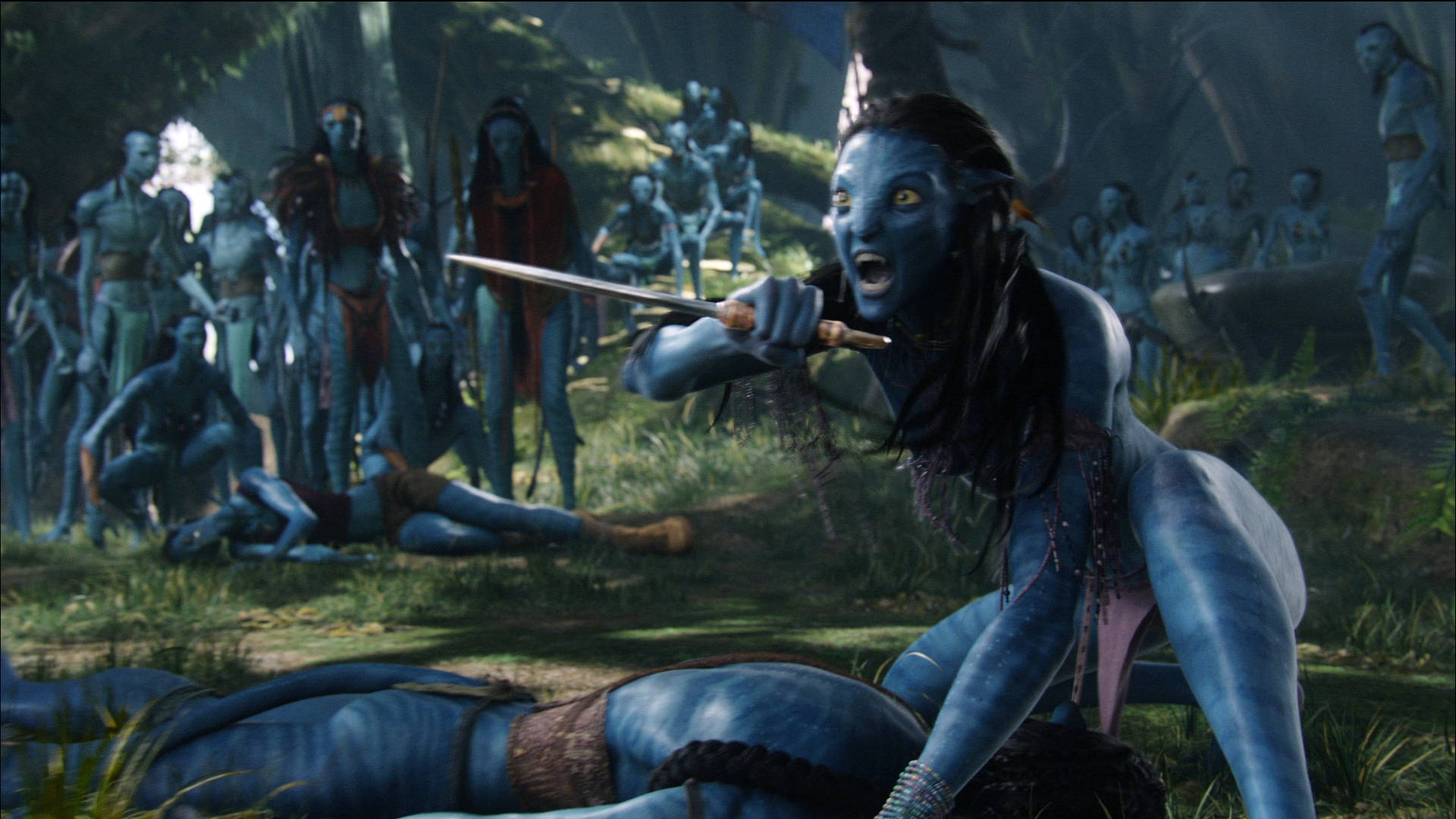 Avatar Neytiri Defends Jake Wallpaper