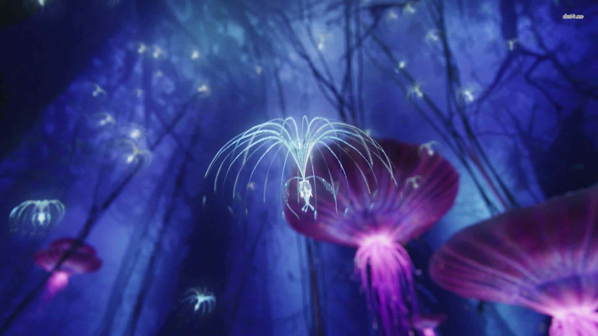 Avatar Pandora Purple Flying Jelly Fish Wallpaper