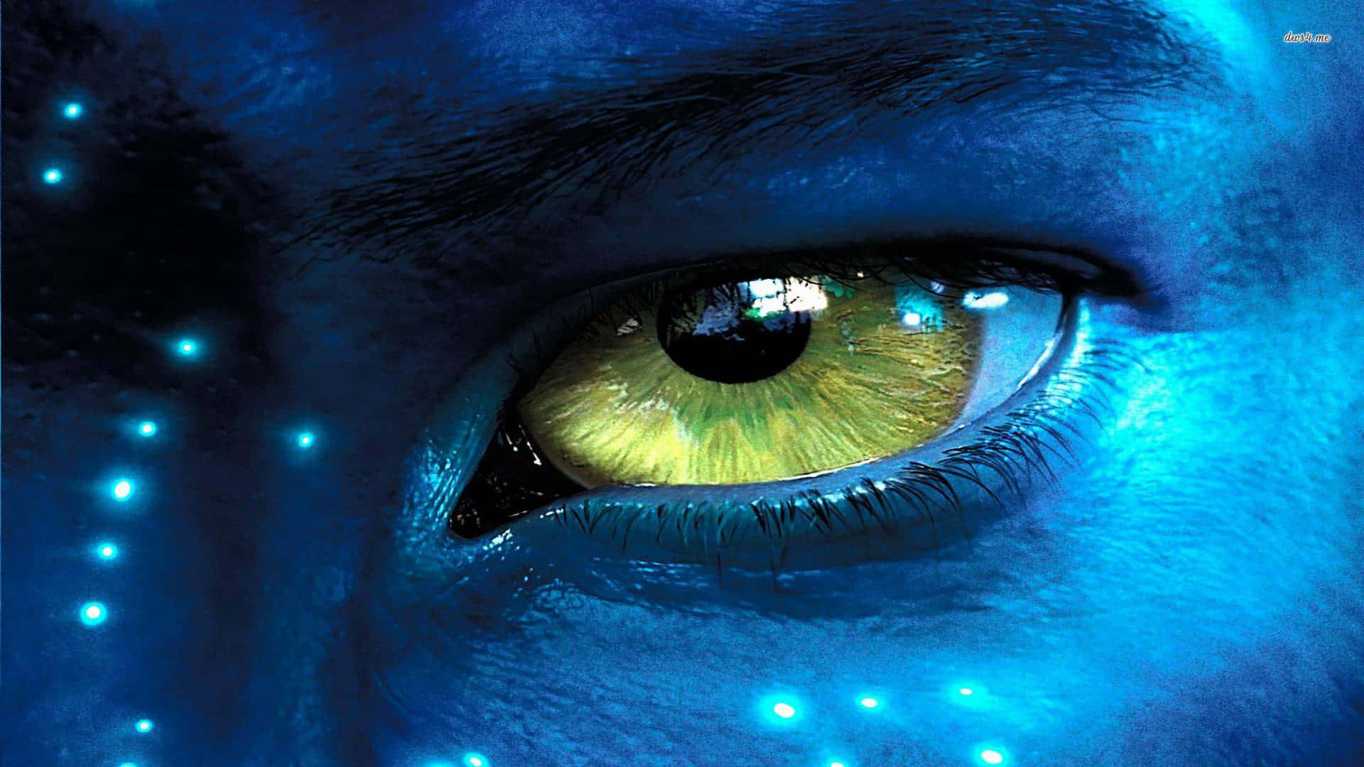 Avatar Pandora Yellow Eyes Wallpaper