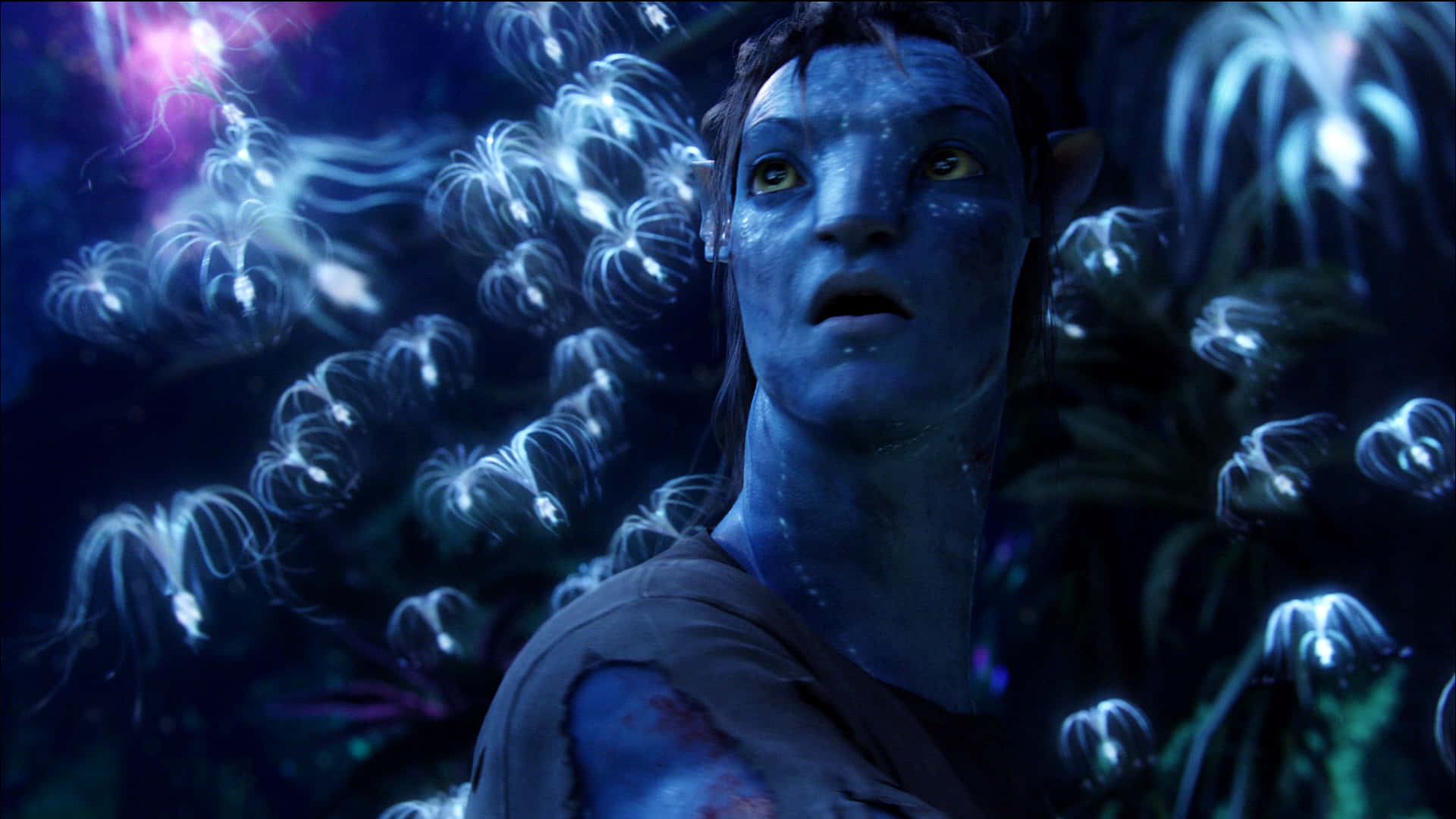 Erkundensie Die Faszinierende Welt Von Avatar Pandora. Wallpaper