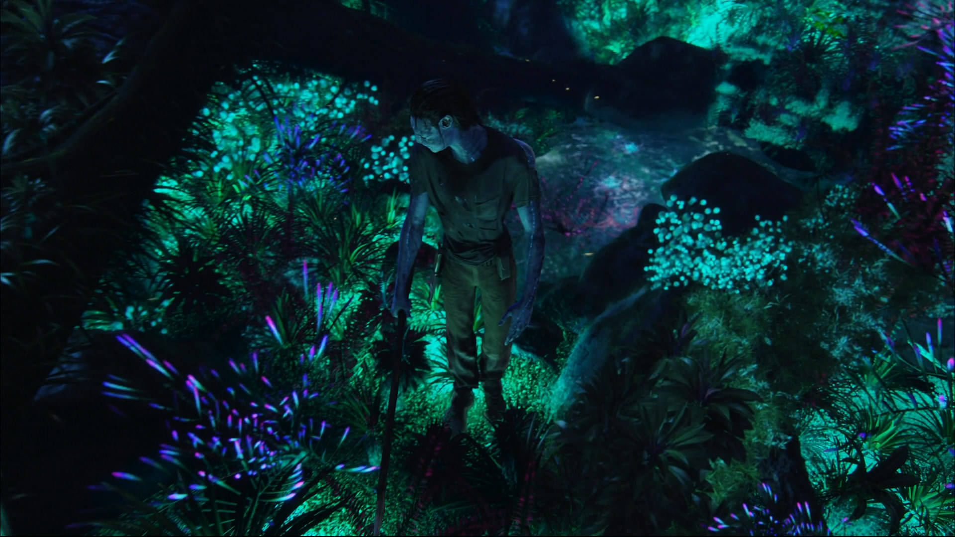 Travel to the magical world of Pandora with Avatar. Wallpaper