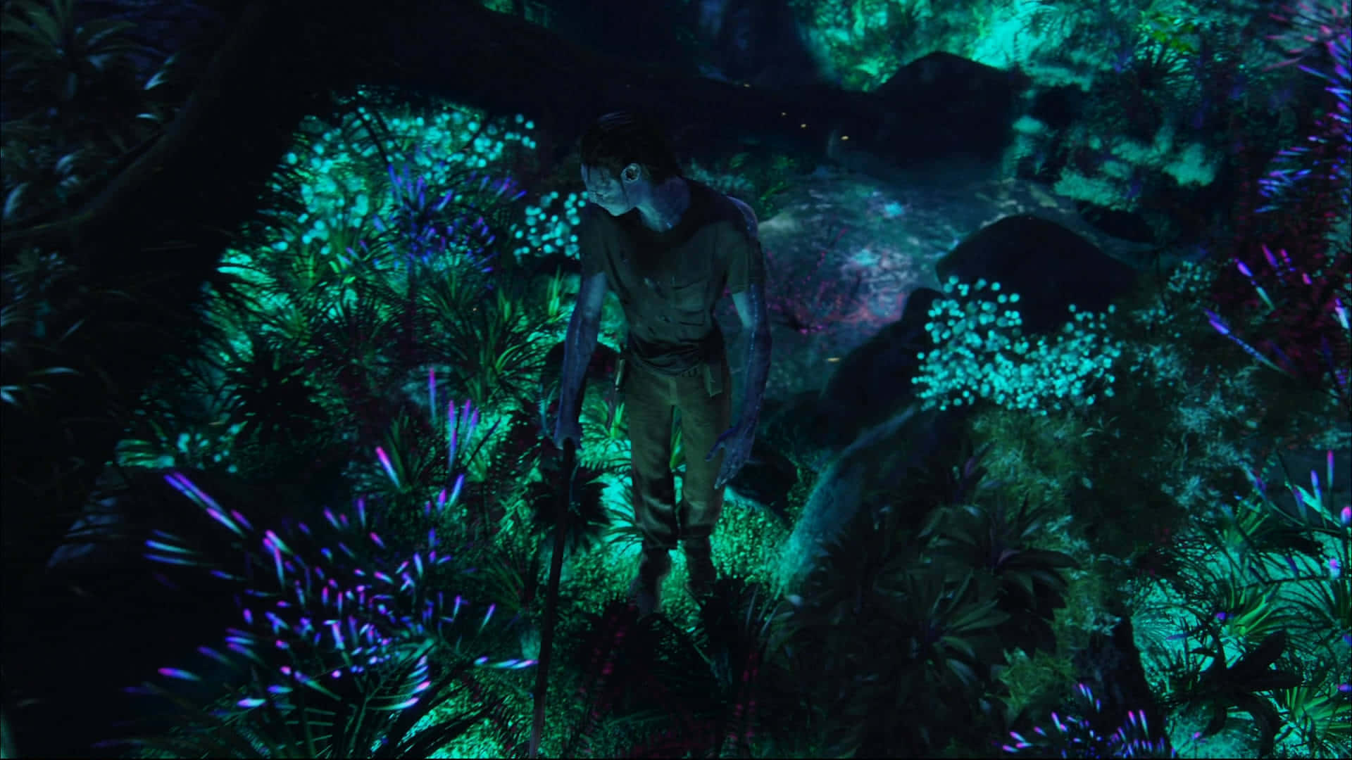 Vibrant Pandora - Udnyttelse af Skønheden i James Camerons Avatar Wallpaper