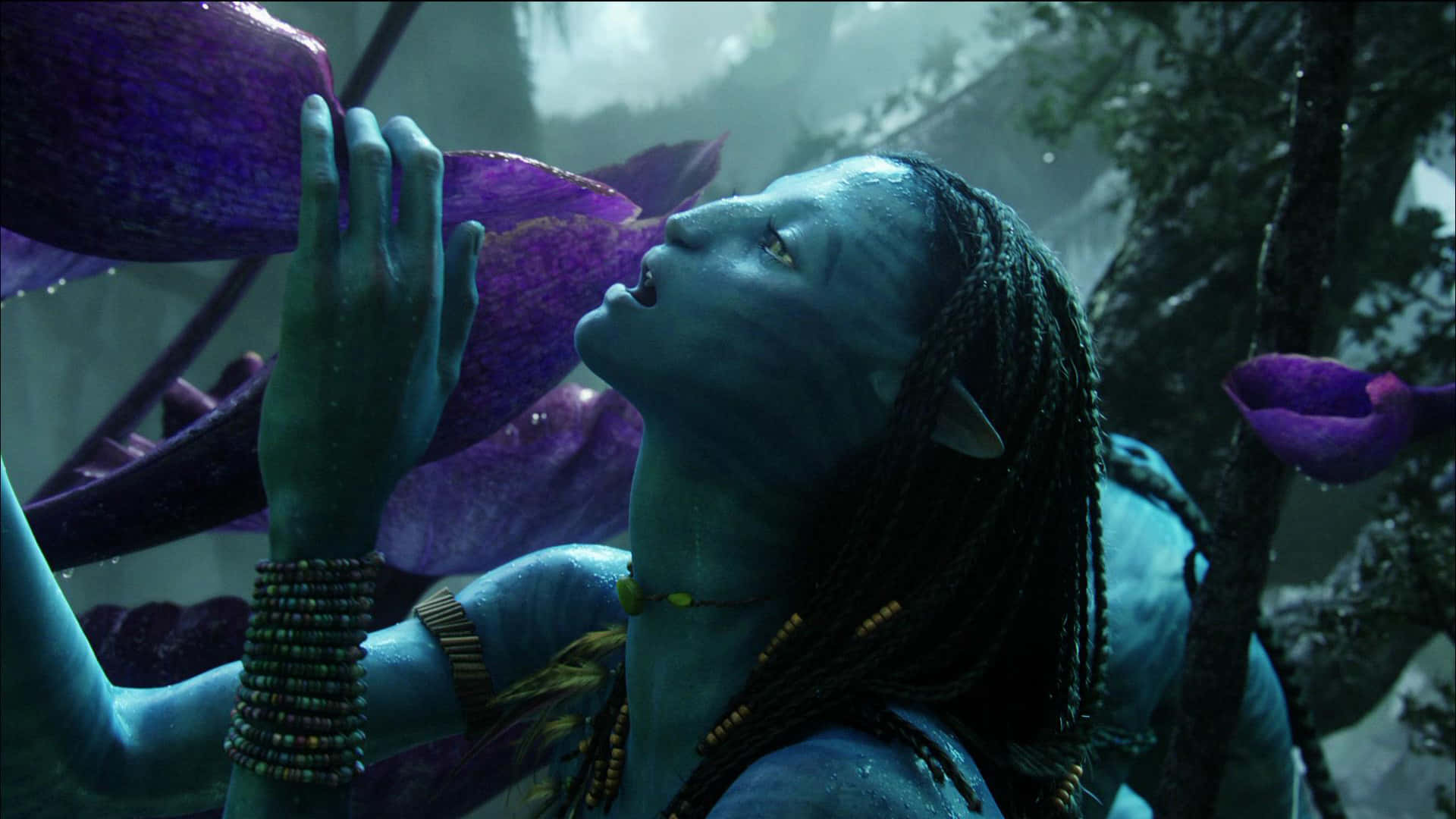 A scene from Avatar - "You Don't Dream in Cryo"