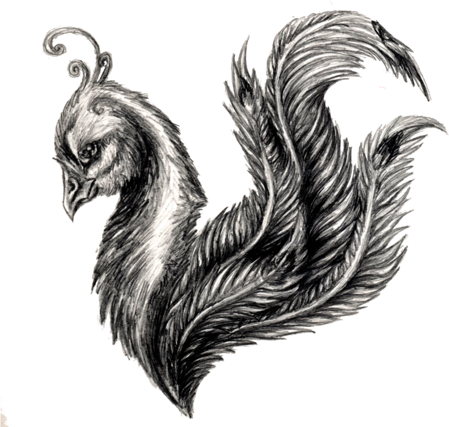 Avian Feather Fusion Artwork.png PNG