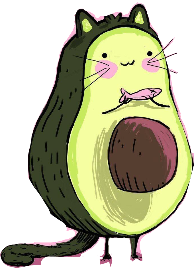 Avocado Cat Cartoon PNG